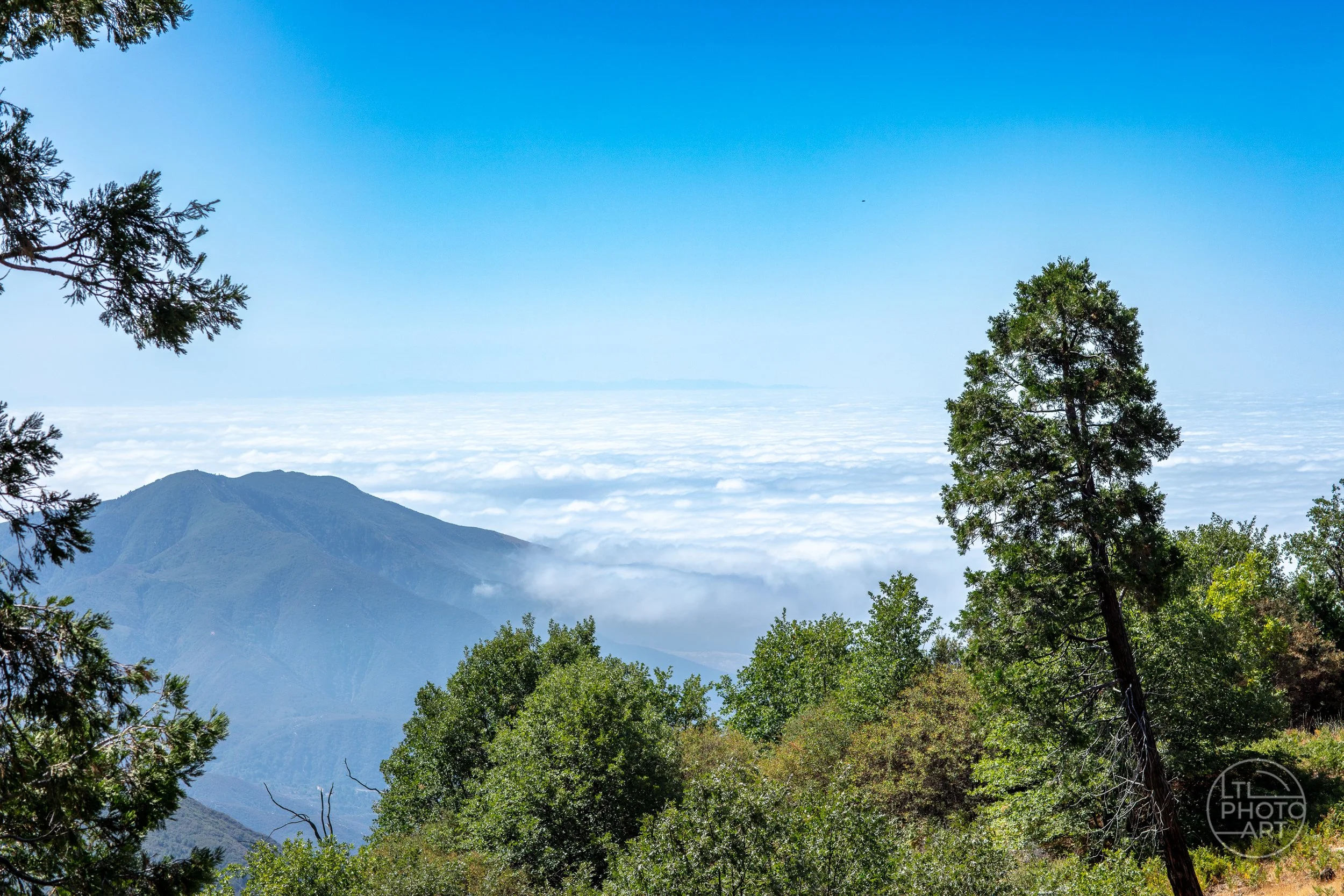 Mountain ridge, evergreen trees, and a layer of clouds viewed from the Rim of the World Highway in the San Bernardino Mountains, California.