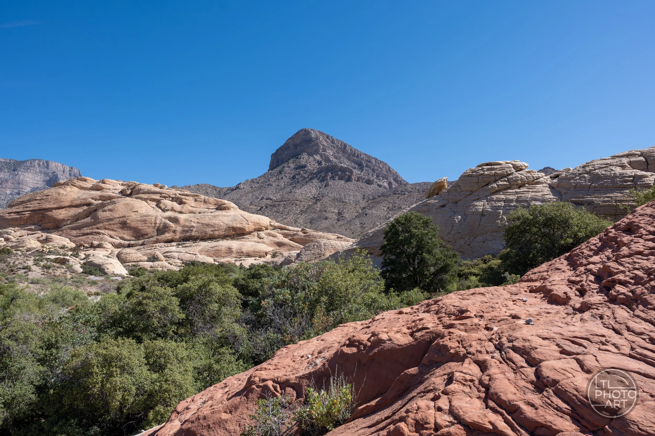 Layered red and cream sandstone, desert vegetation, and rugged mountains in Red Rock Canyon National Conservation Area near Las Vegas, Nevada.
