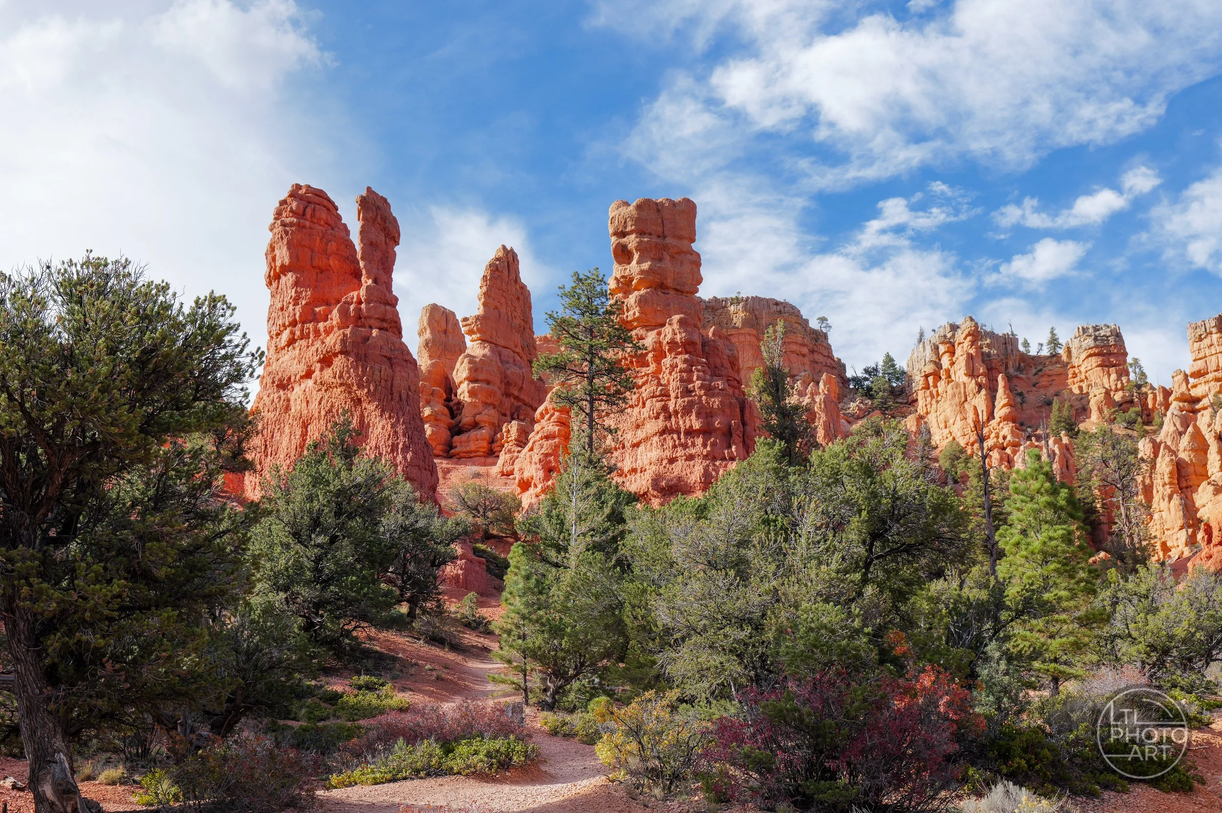 Hiking trail beneath orange-red hoodoos and pine trees in Red Canyon, Dixie National Forest, Utah.Hiking trail beneath orange-red hoodoos and pine trees in Red Canyon, Dixie National Forest, Utah.