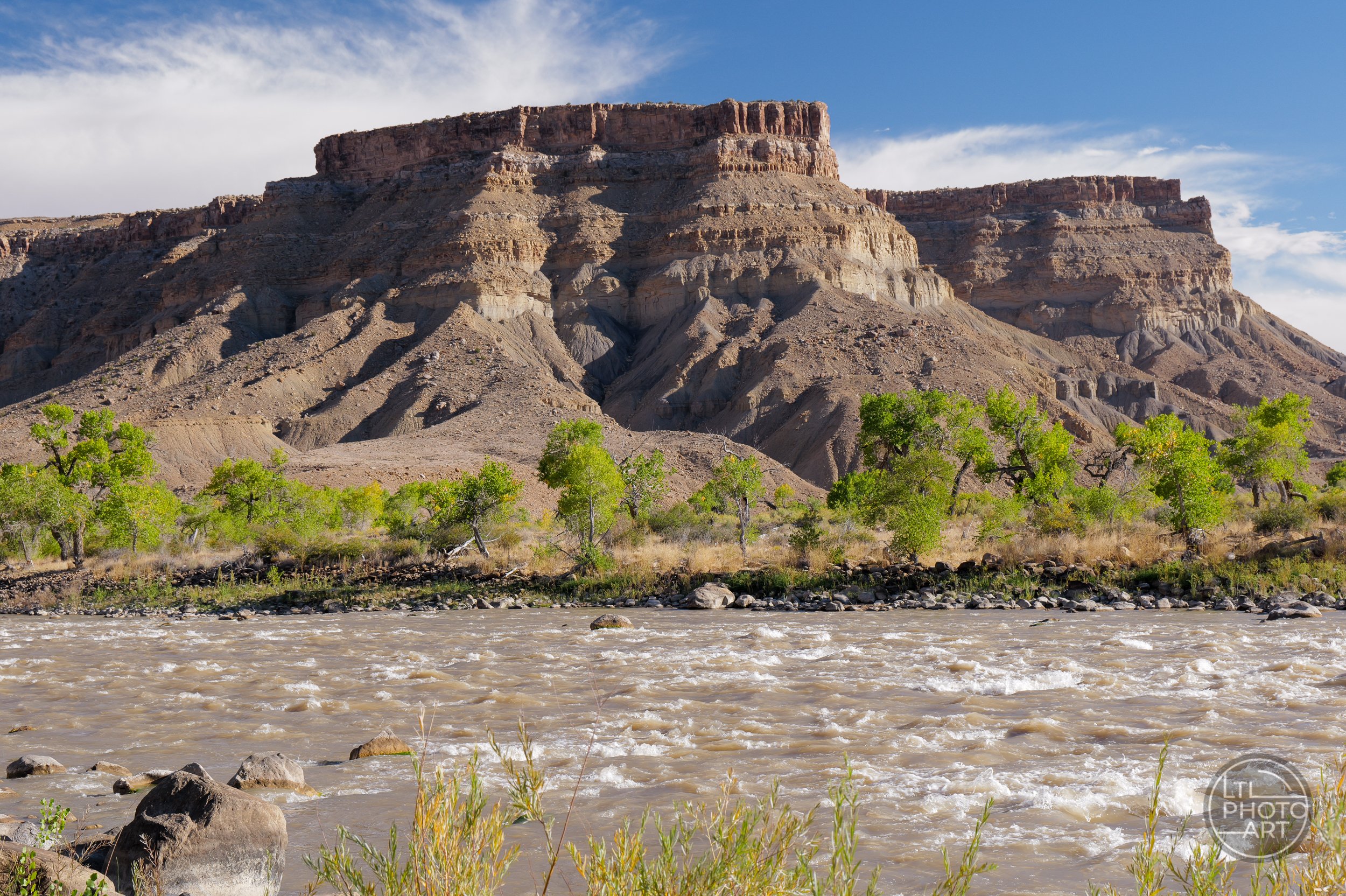 Green River rapids flowing past cottonwood trees beneath a layered desert plateau in Utah.