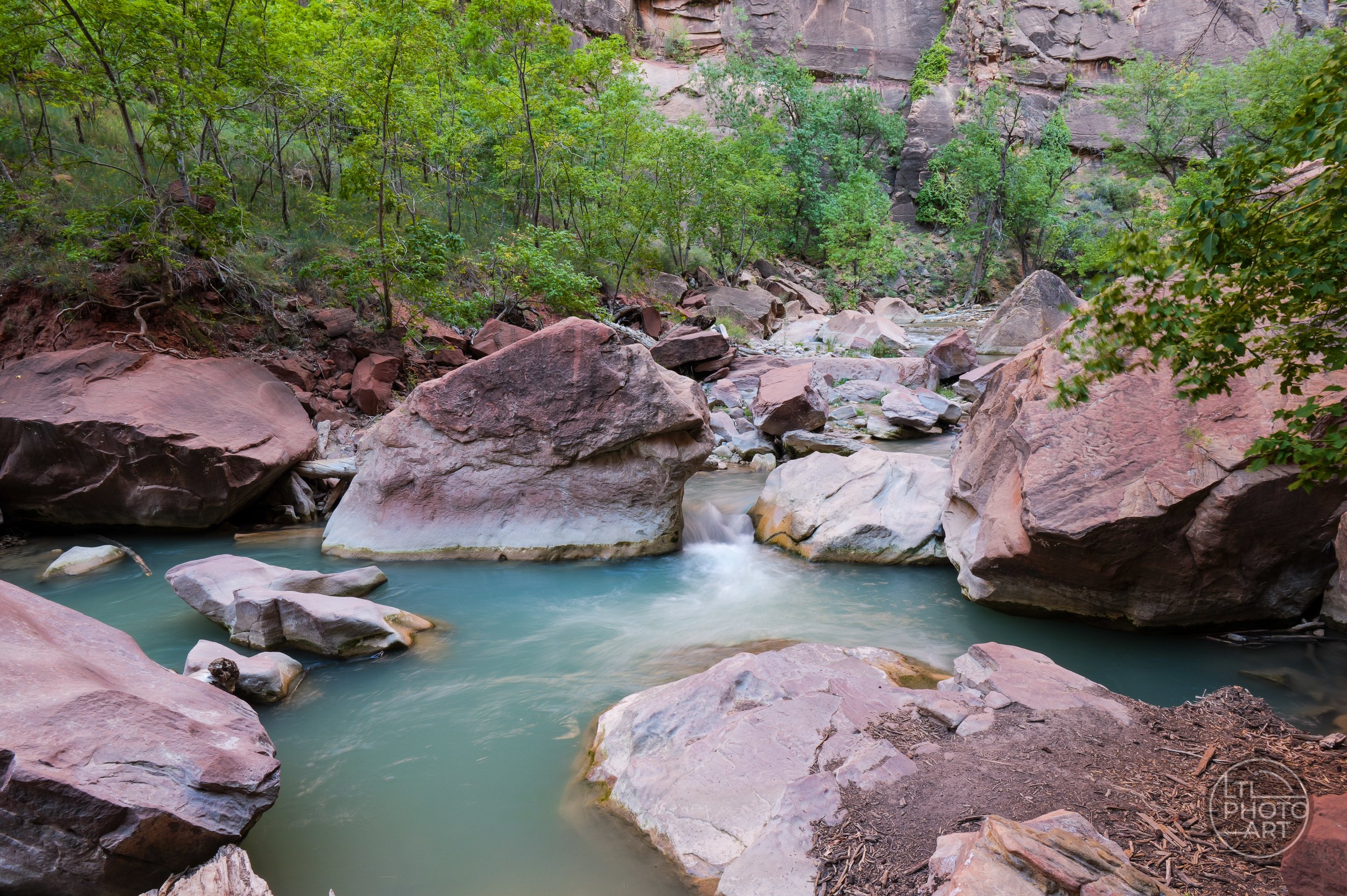 Slow-moving turquoise water flowing around large red sandstone boulders beneath green trees in Zion National Park, Utah.