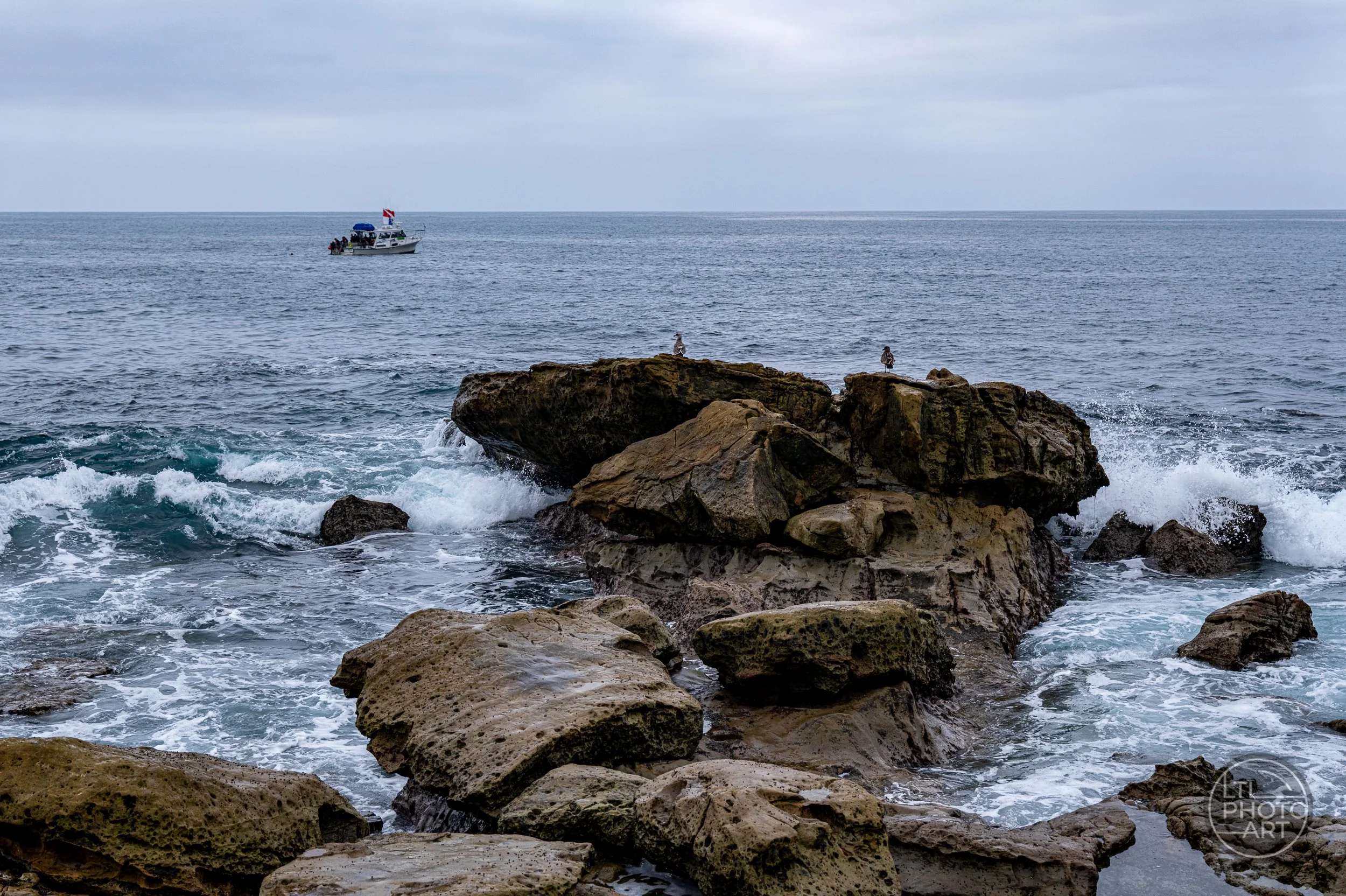 Two birds perched on rocky formations at sea level near Monument Point in Laguna Beach, with breaking waves and a small boat on the Pacific Ocean in the distance.
