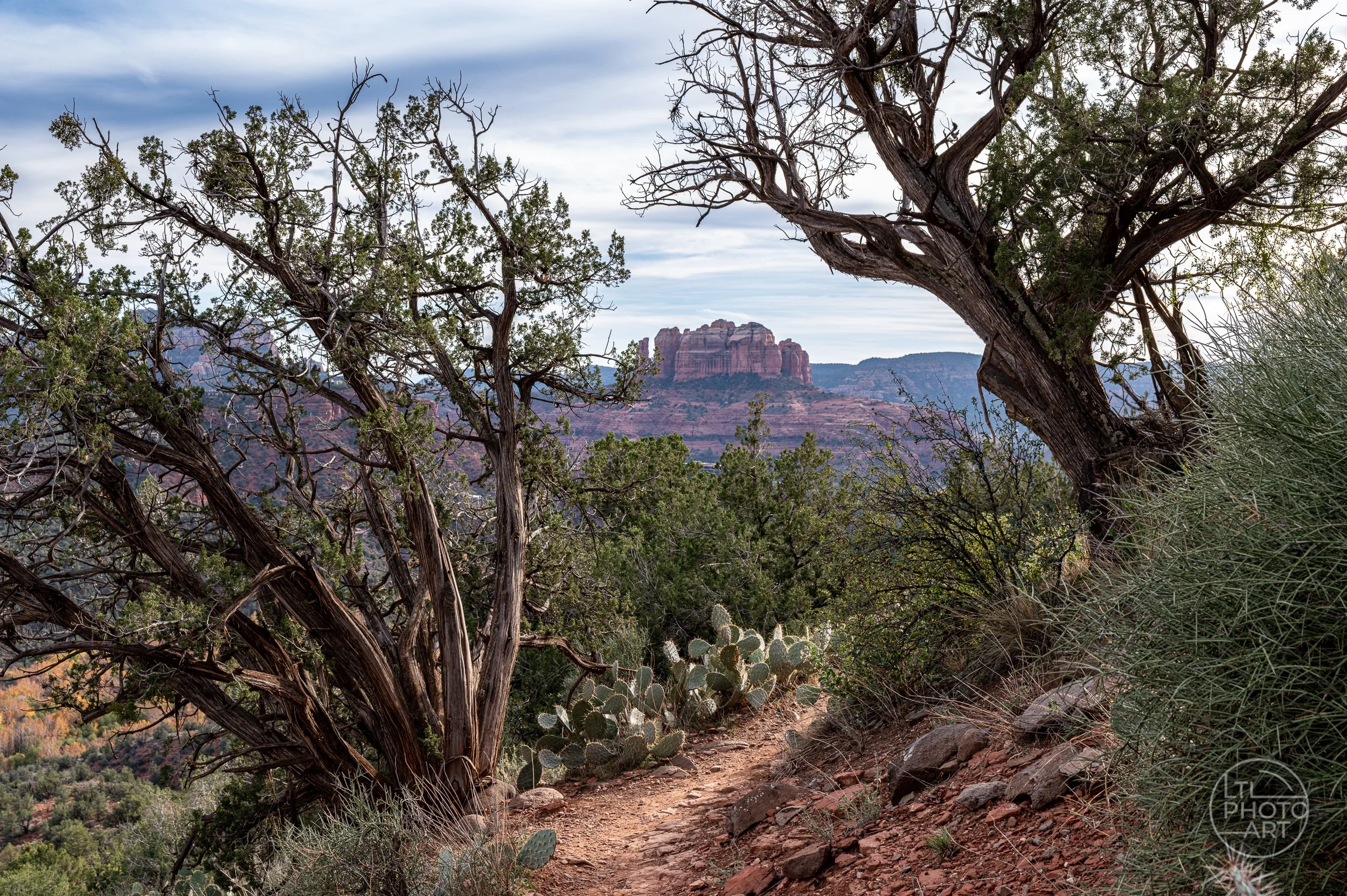 Cathedral Rock framed by juniper trees, cactus, and a desert hiking trail near Sedona Airport in Arizona.