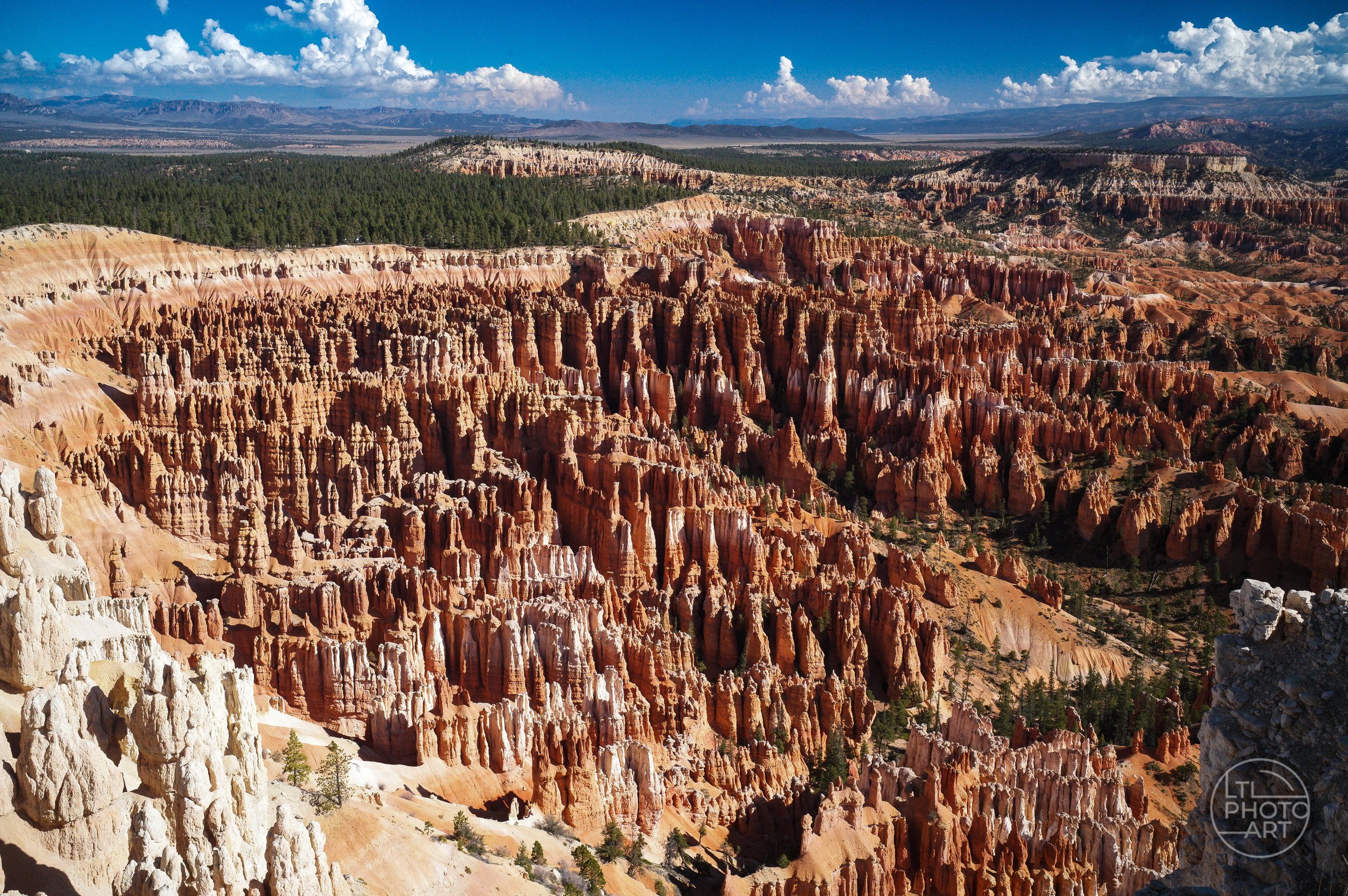 Expansive view of orange, red, and white hoodoos in the Bryce Canyon Amphitheater beneath a blue sky with clouds.