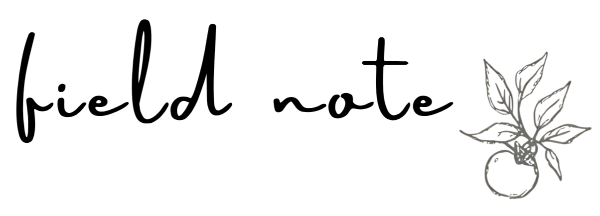 Your Site Title