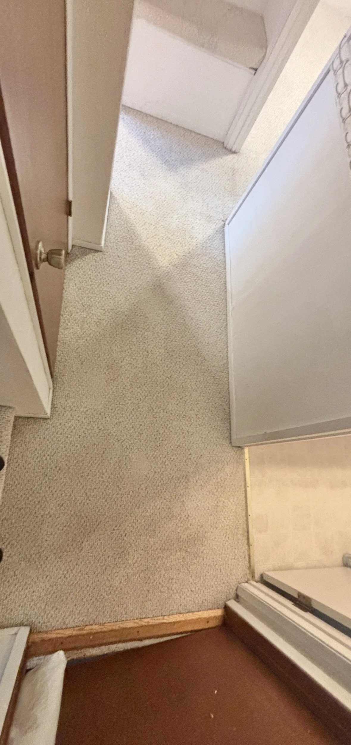 Photo of a beige carpeted hallway that has just been professionally cleaned and looks lighter