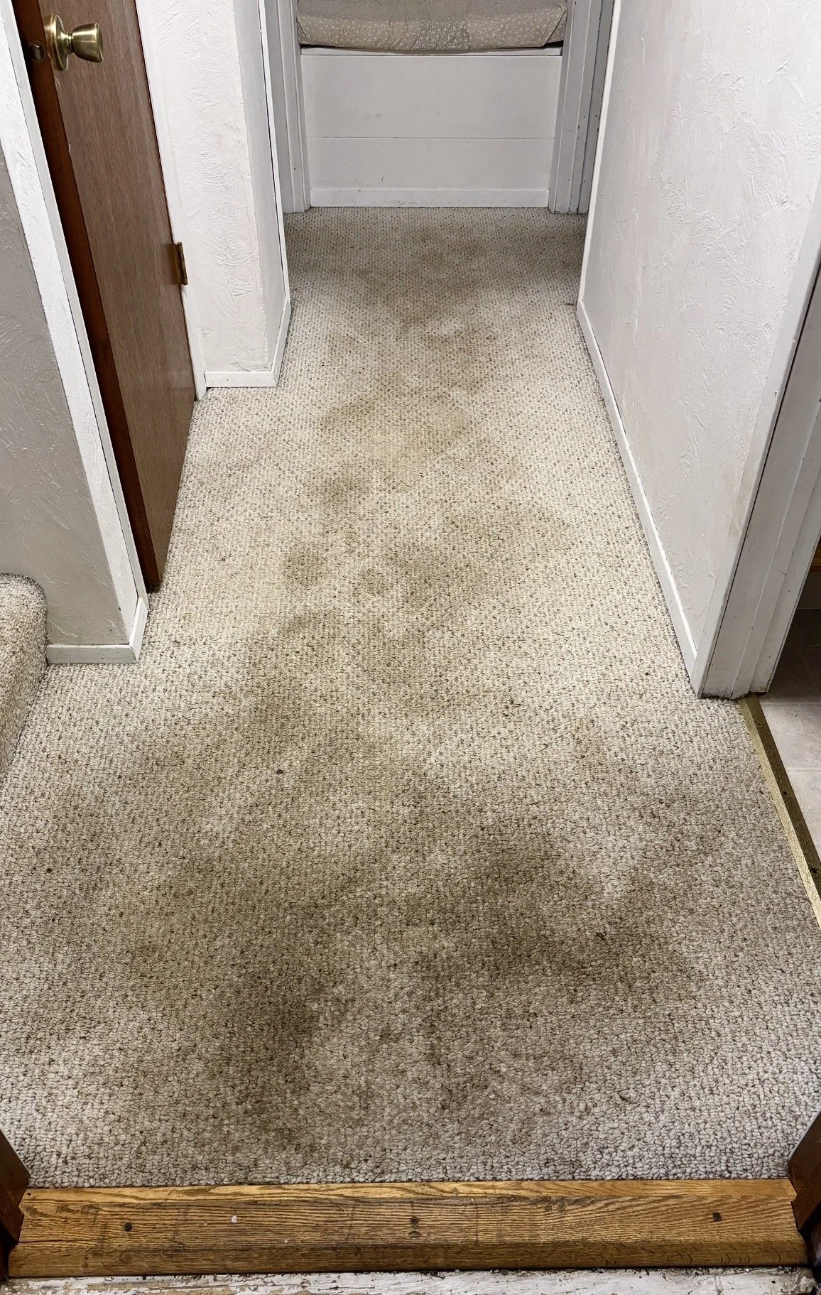 A beige carpeted hallway with visible dirt stains and wear, leading into another room with a darker beige carpet, wooden door frame, and white walls.