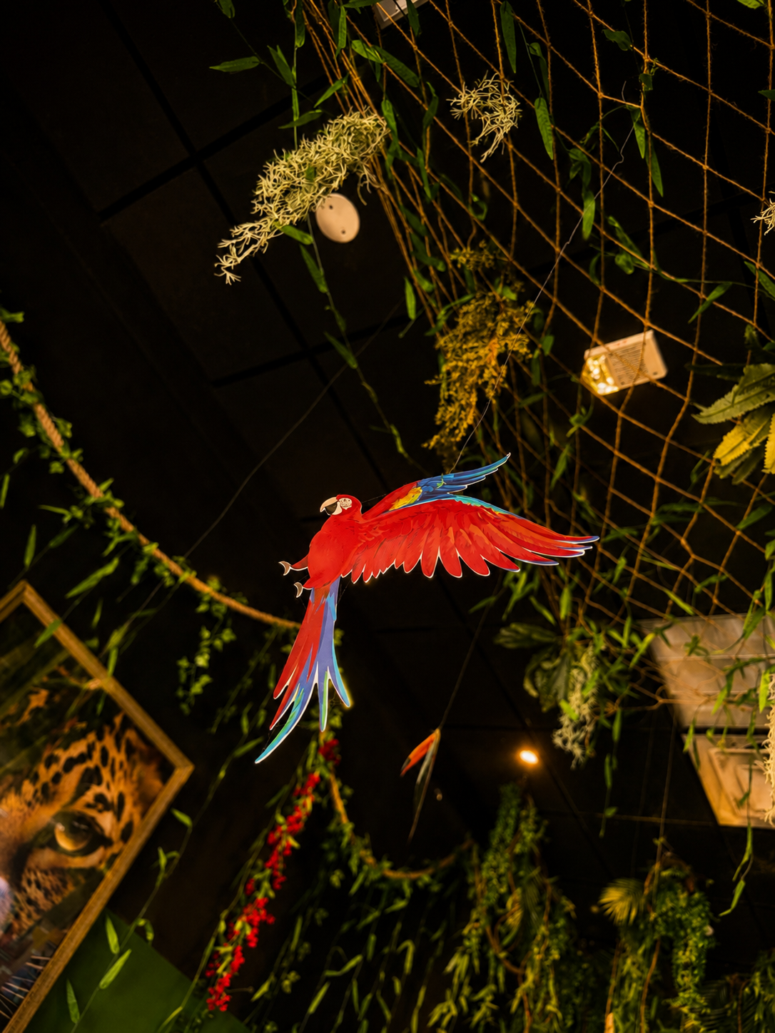 Parrot.png