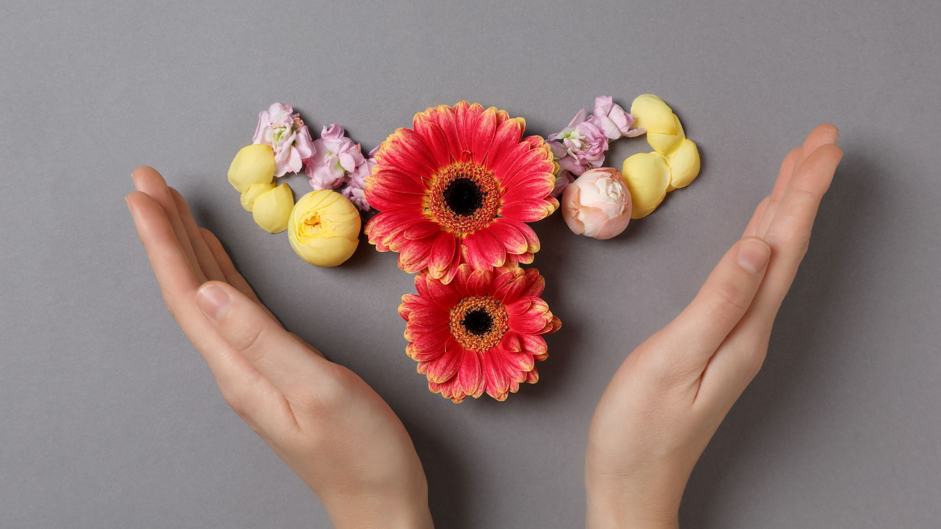 Perimenopause Series: Stage 1 – Early Perimenopause