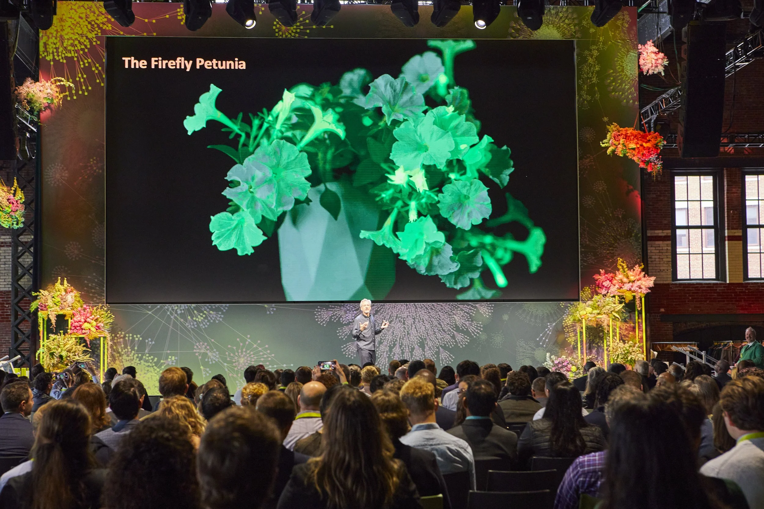 A speaker presents at a conference or event in front of a large screen displaying an image of green flowers with the caption 'The Firefly Petunia.' The audience is seated facing the stage, and the decorated setting includes floral arrangements and stage lighting.