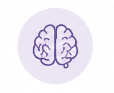 Illustration of a human brain in purple with a light purple background.