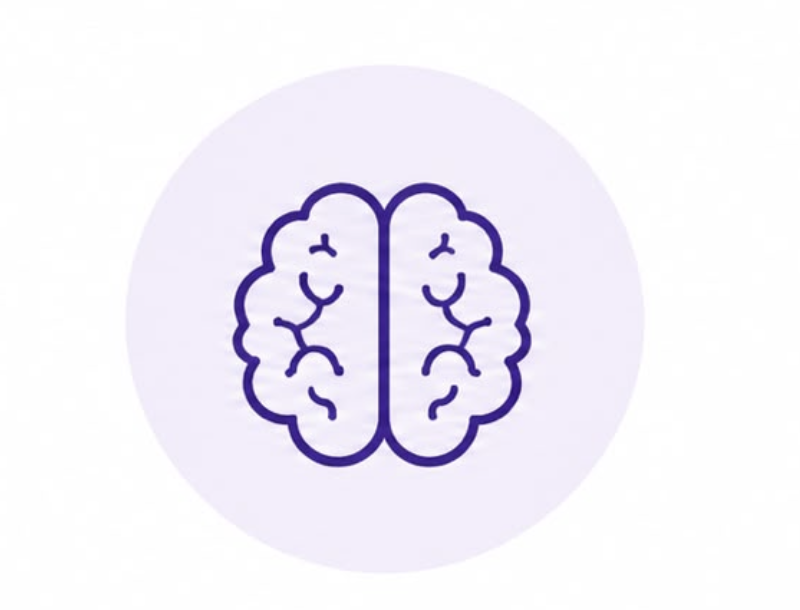 Learn Neuroscience
