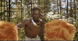 wd_reel_25_websnippet_v1_1_2.gif