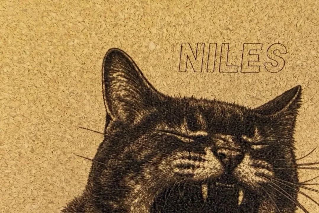 Close-up of a black cat with piercing eyes, showing its teeth, with the name 'NILES' above its head.