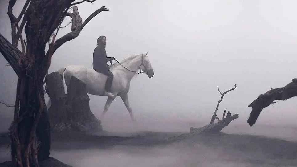 fog_2018_horse.jpg