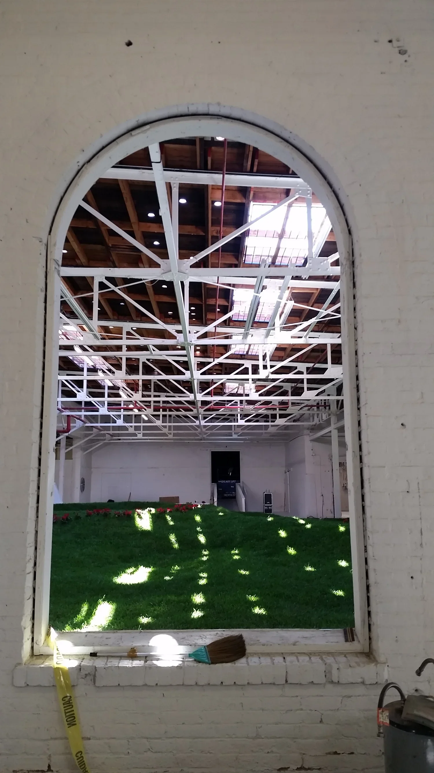 grass window from MS cite.webp