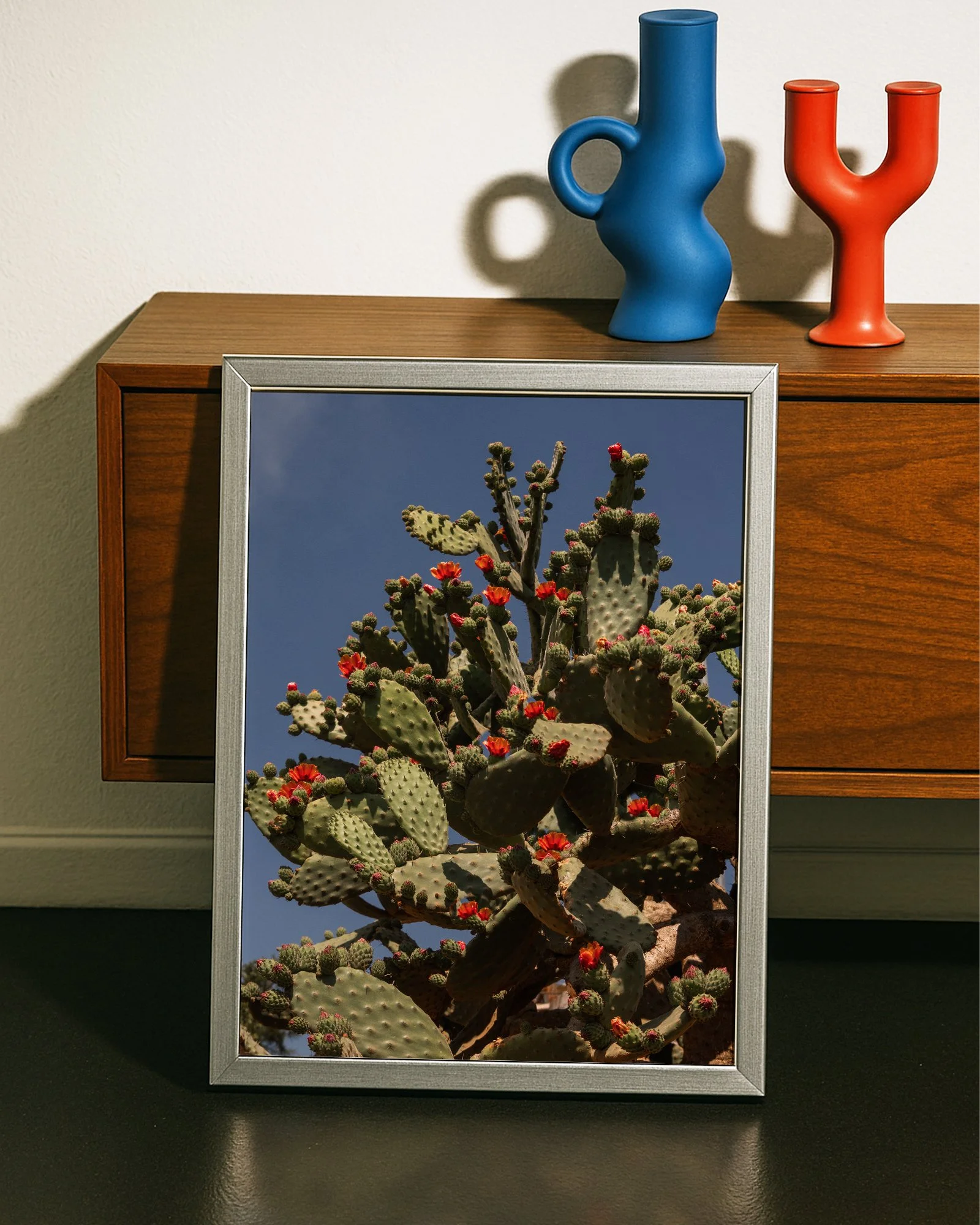 Photograph of a potted prickly pear cactus with colorful flowers, framed in silver, placed on a dark surface in front of a light-colored wall.