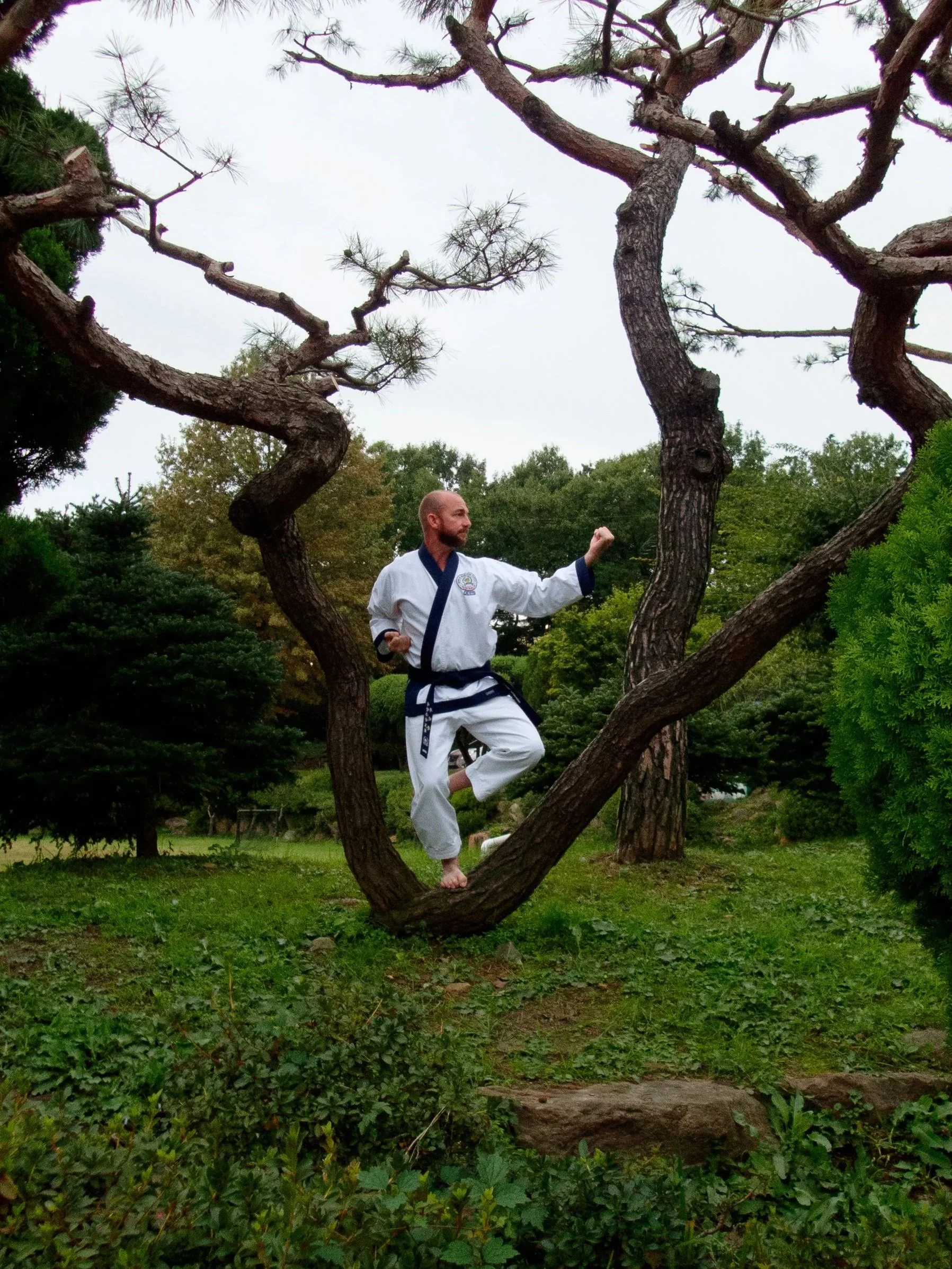 A man in a white martial arts uniform performing a martial arts pose in a park with trees and greenery.