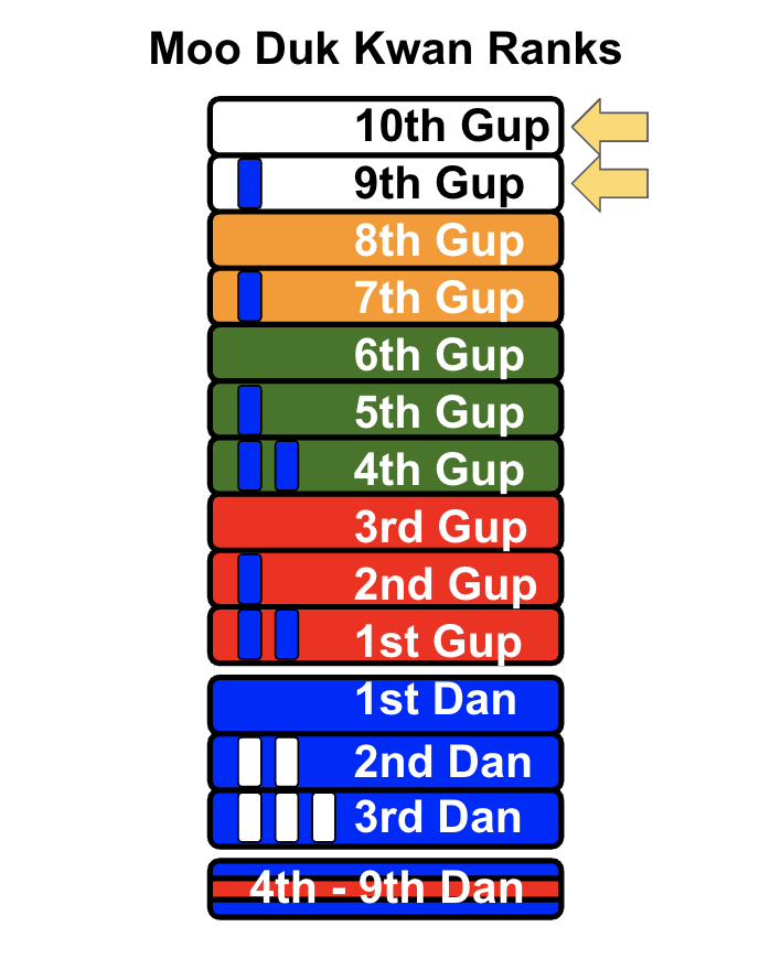 Chart titled "Moo Duk Kwan Ranks" showing martial arts belt progression from 1st Dan to 10th Gup with color-coded rank levels and instructor belts, including colored bars and labels.