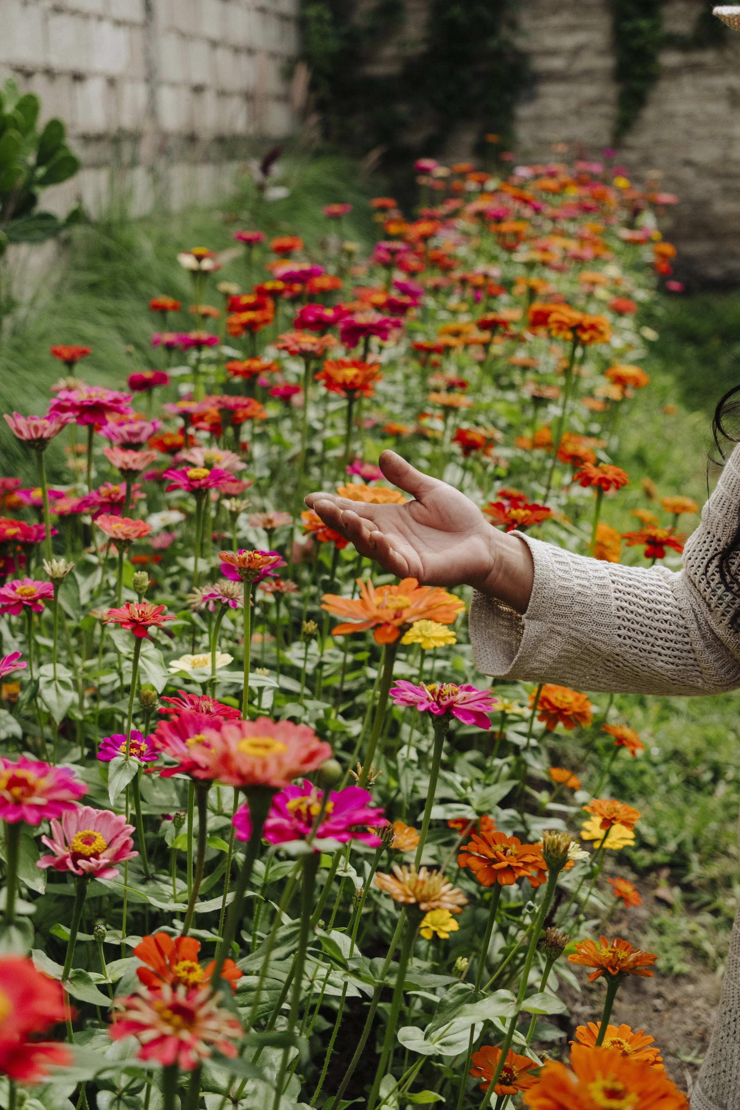 social business in Guatemala, women empowerment, documentation of nonprofit work, Nonprofit in Guatemala, Antigua Guatemala, Photography, Videography, Content creation, social media management, website design for nonprofit
