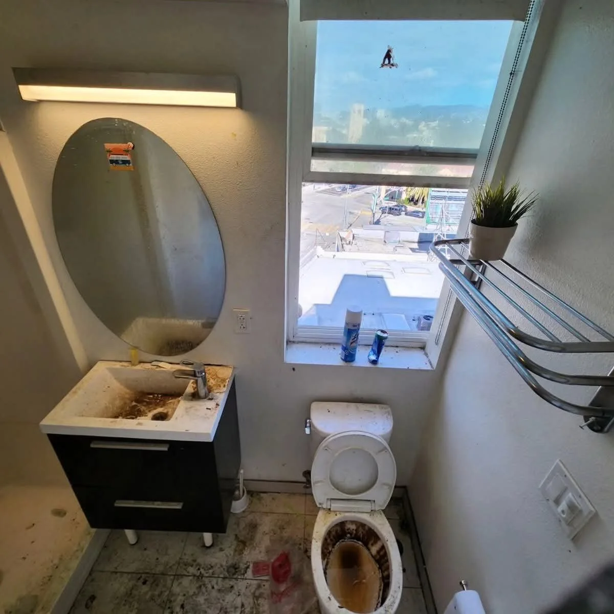 Dirty bathroom with a stained toilet, a small sink with dirt and grime, a large mirror, a window with cleaning spray bottles, a shelf with a potted plant, and cluttered floor.