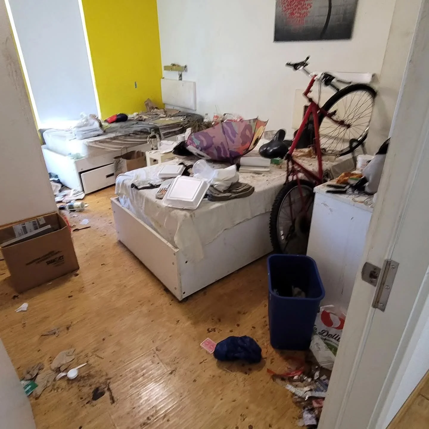 Disorganized bedroom with two beds, cluttered with papers, books, and miscellaneous items. A red bicycle is leaning against one bed. There are cardboard boxes and trash on the floor. The room has a yellow and white wall, and a floral painting hangs on the wall.