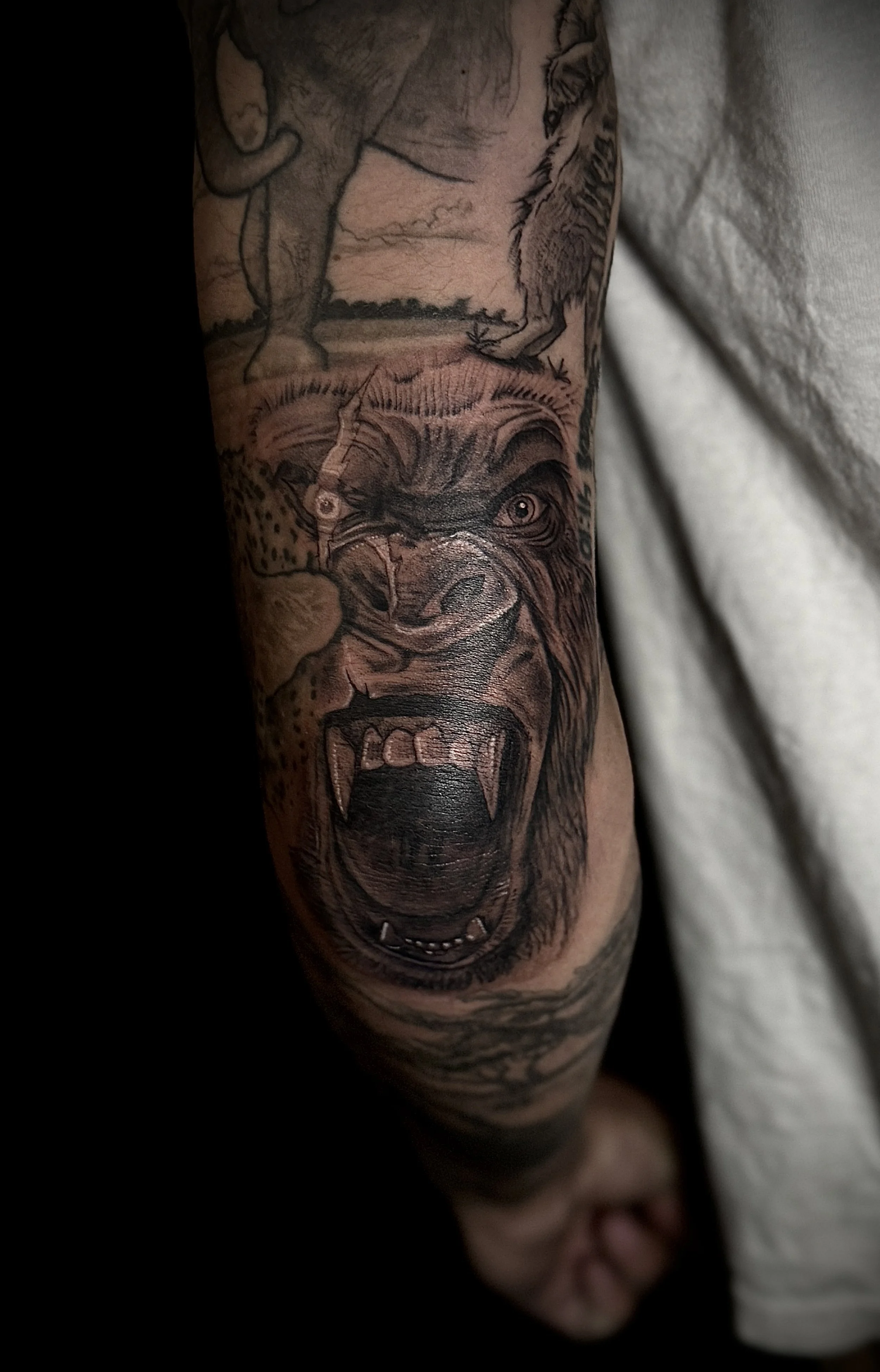 Tattoo of a fierce wolf's head with bared teeth on a person's arm.