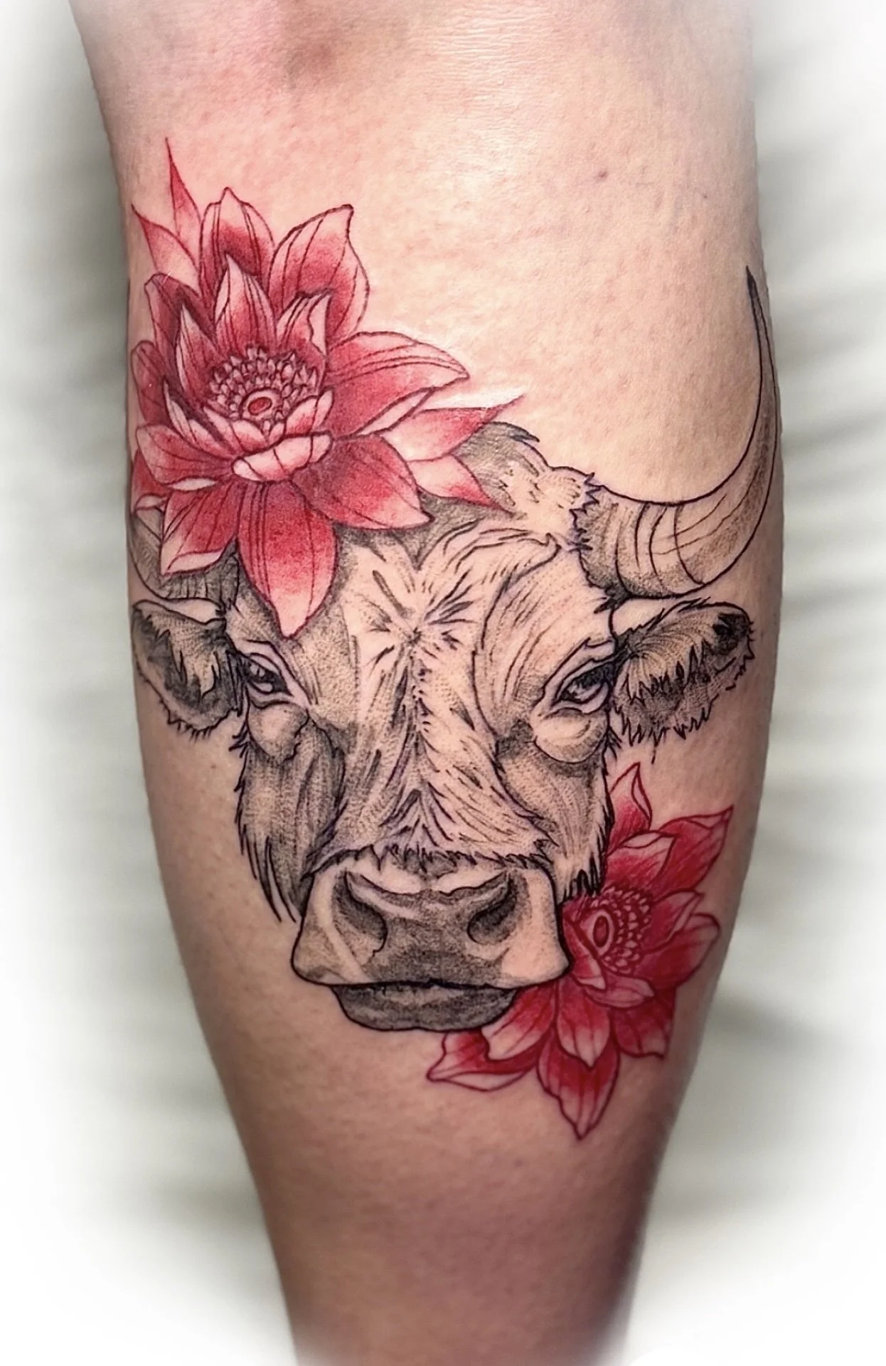 Tattoo of a bison's head with red flowers around it on a person's arm.