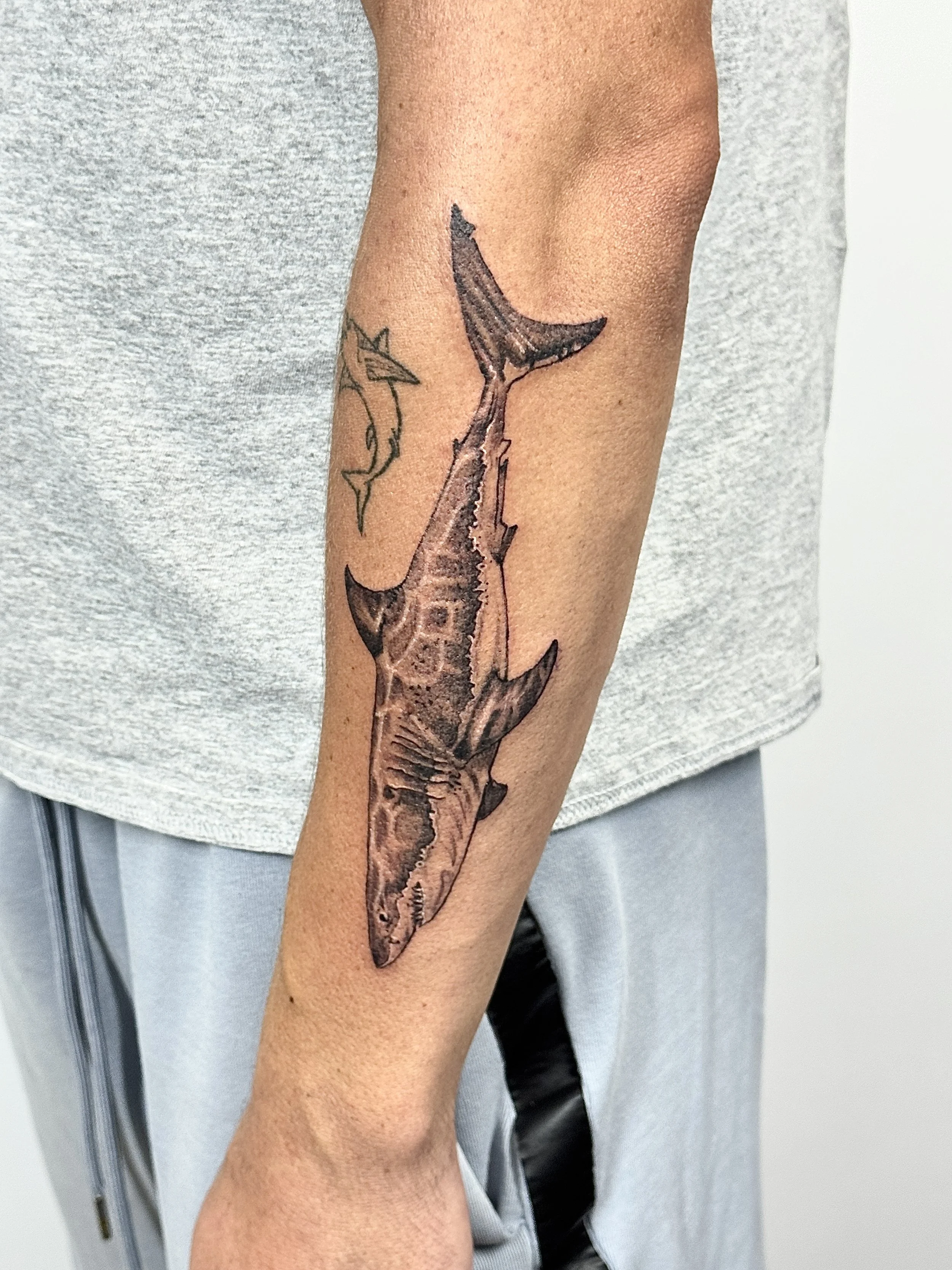 Tattoo of a horse's head on person's forearm.