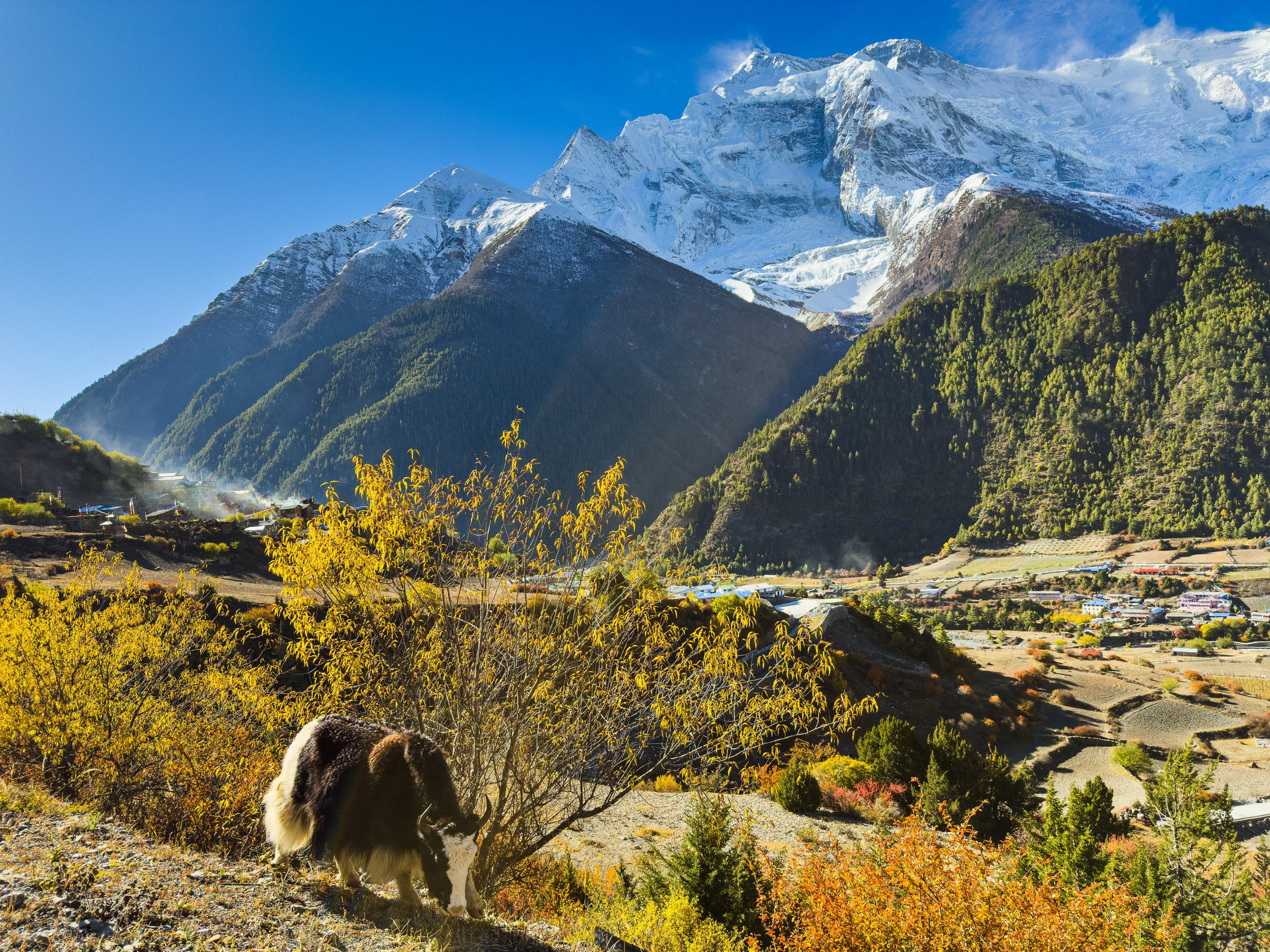 Annapurna Circuit Trek
