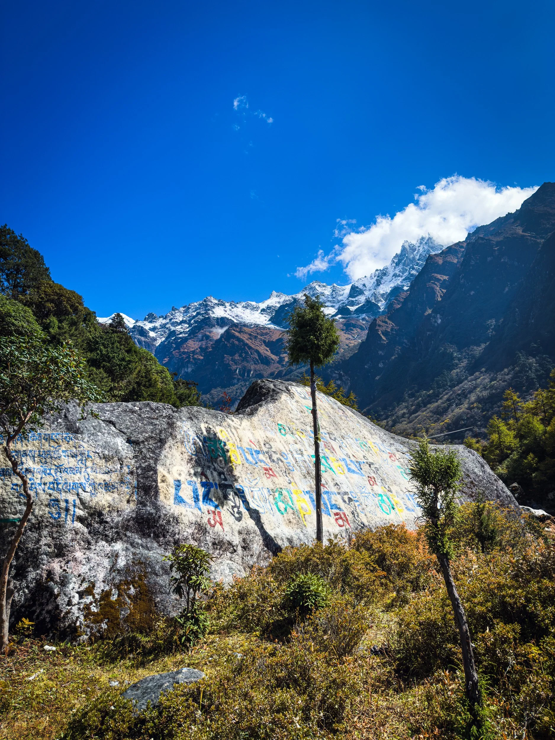 Kanchenjunga Circuit Trek Permits and Guide (Updated 2026)