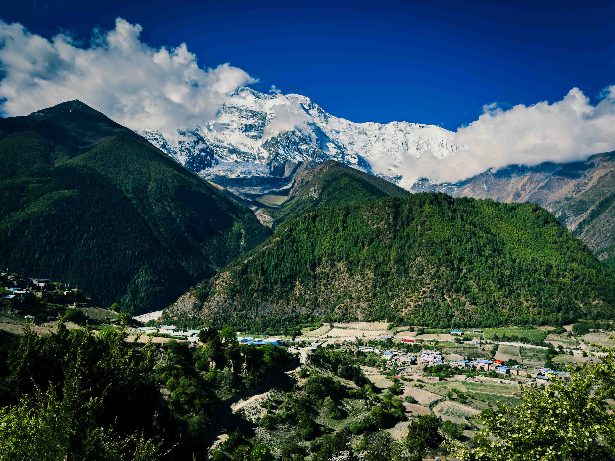 Altitude Sickness and Diamox in the Himalayan Treks