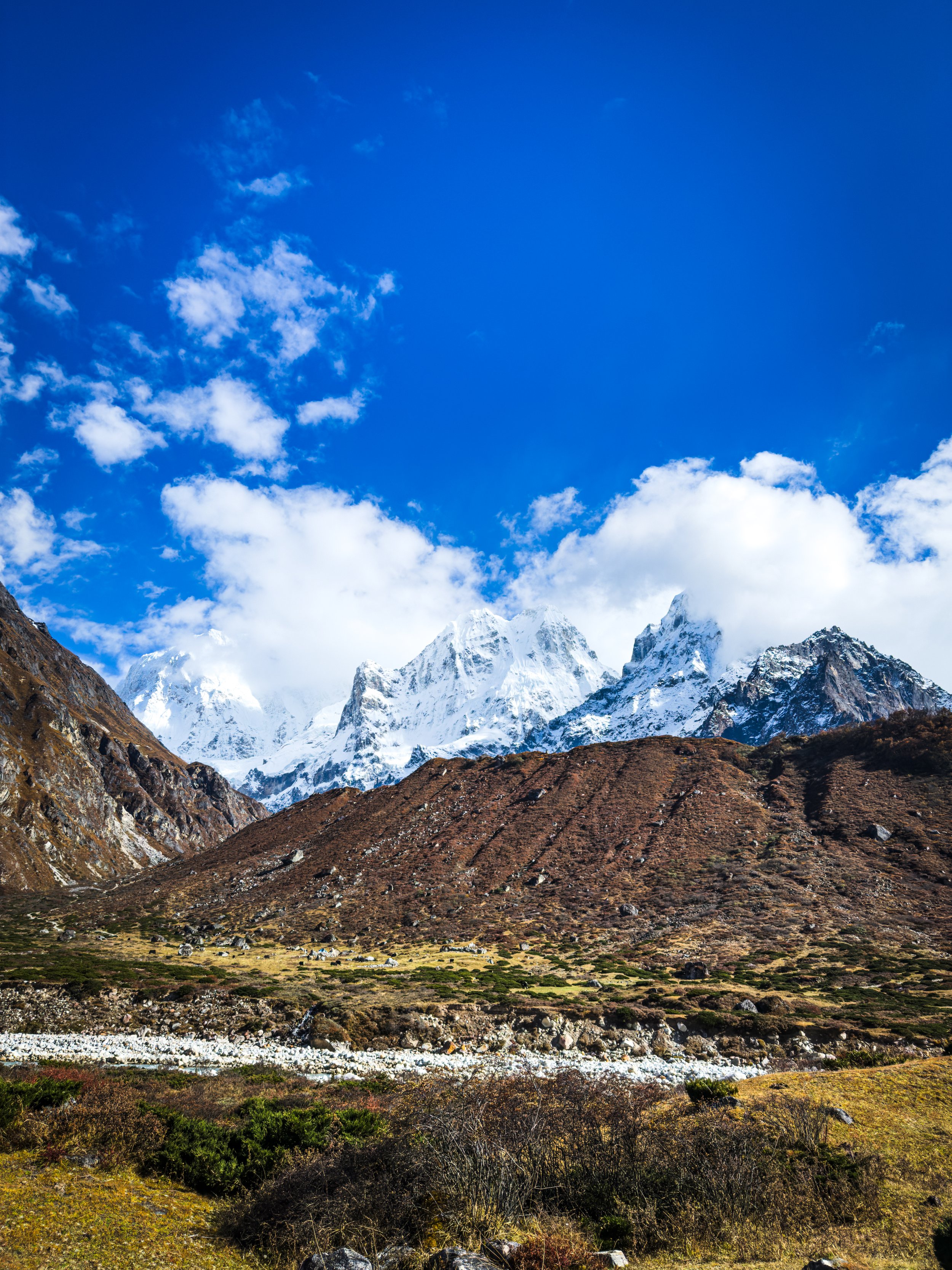 View of Mt. Jannu from Khambacchen enroute Kanchenjunga Circuit Trek in  Spring 2026