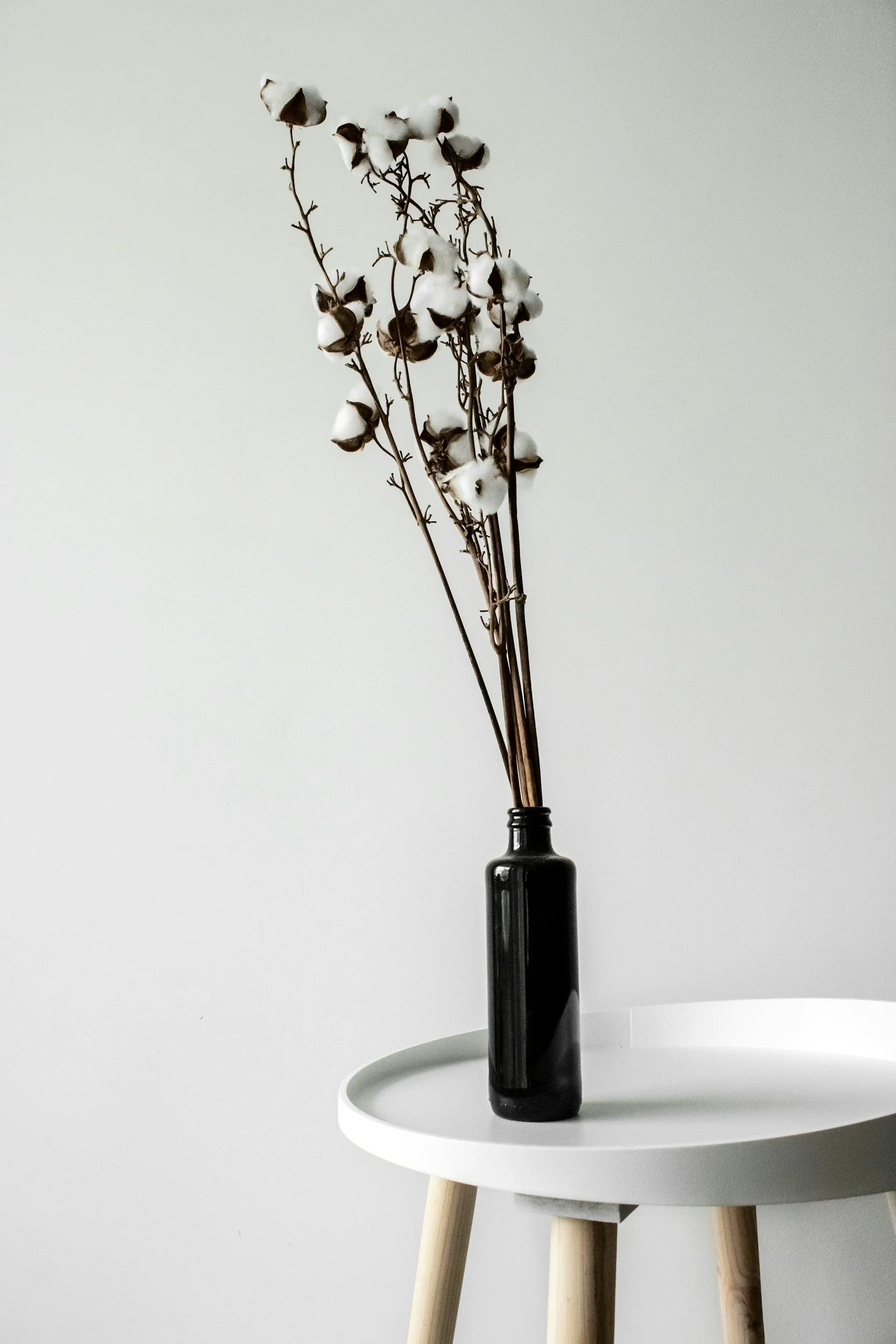 A black vase holding cotton stems with white fluffy cotton balls, placed on a white round table with wooden legs, against a plain light-colored wall.