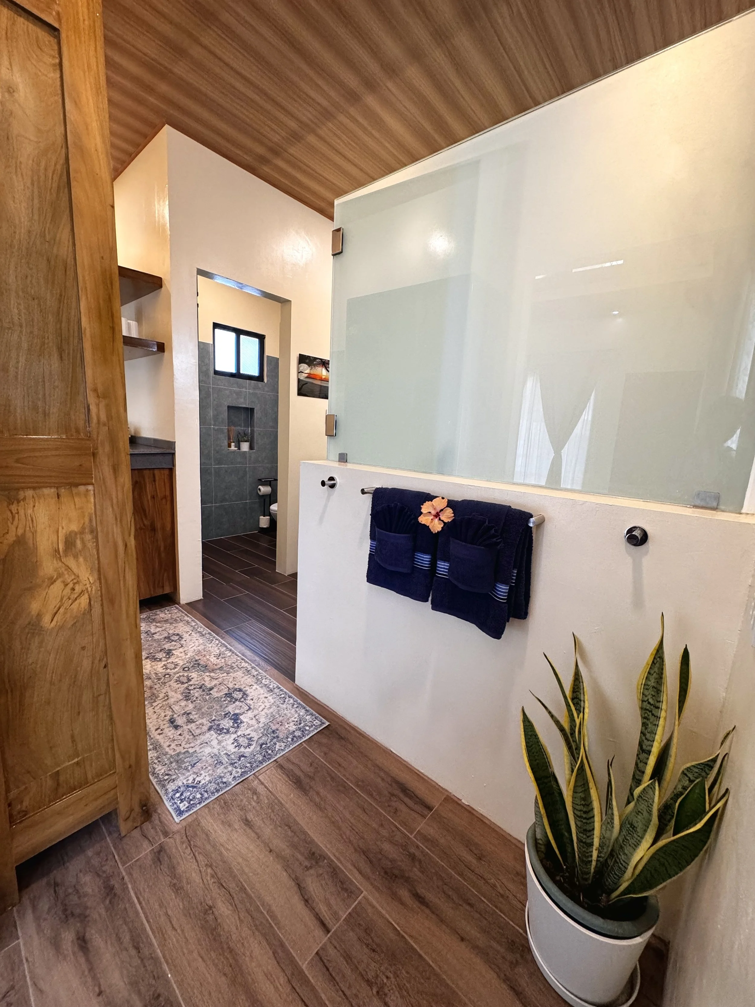 Interior view of a room with wood and white walls, a doorway to a bathroom with a gray tile wall, a small window, and a towel rack with dark towels and a flower decoration. There is a potted snake plant in the foreground, an area rug, and wooden floo
