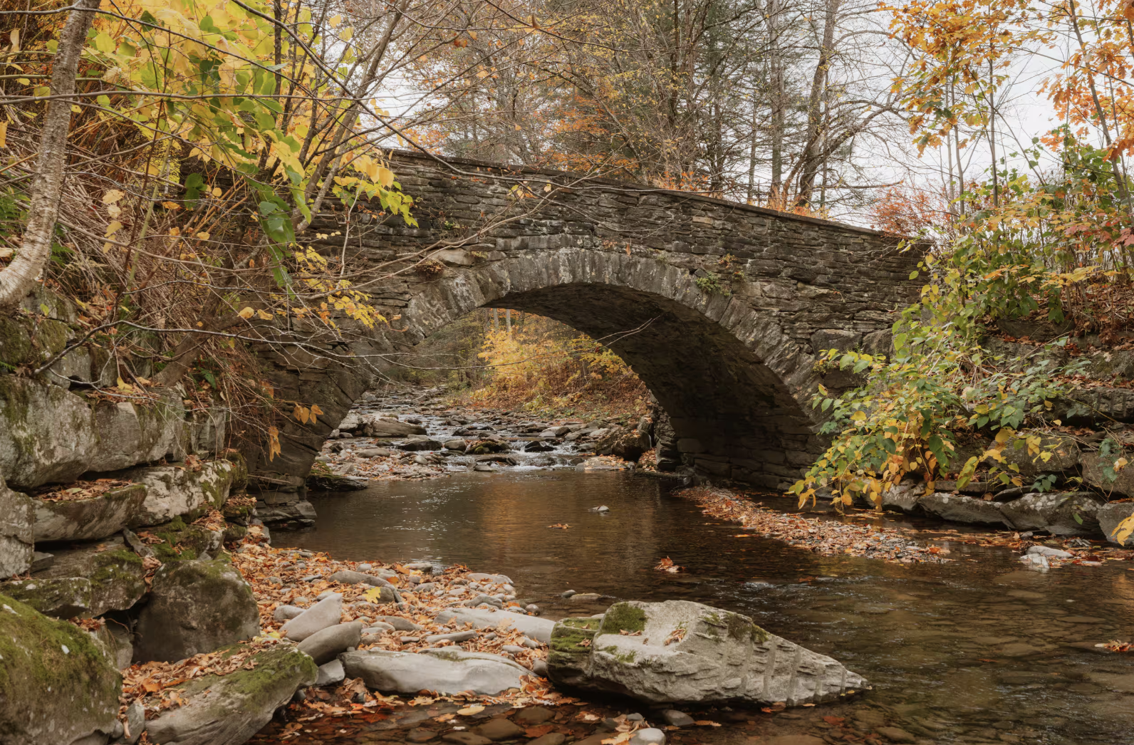 The Creek on Property