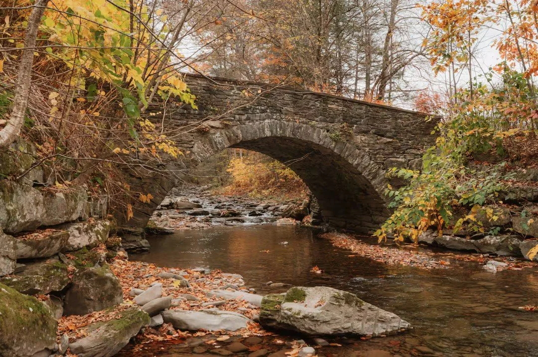 Creek on Property