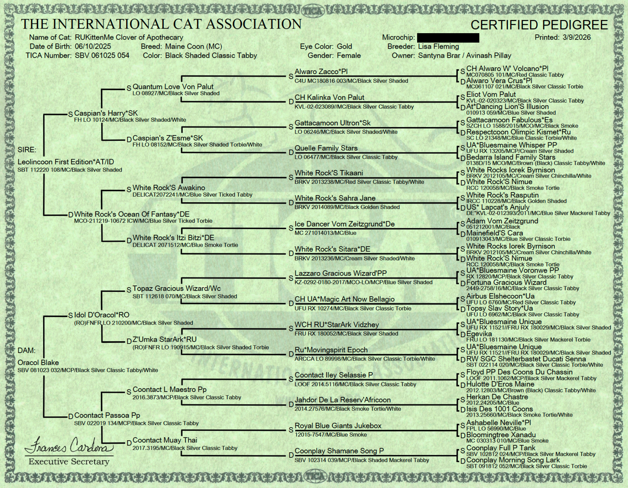 A detailed official pedigree chart for a cat named RUKittenMe Clover of Apothecary, showing lineage, registration numbers, and references to breed standards.