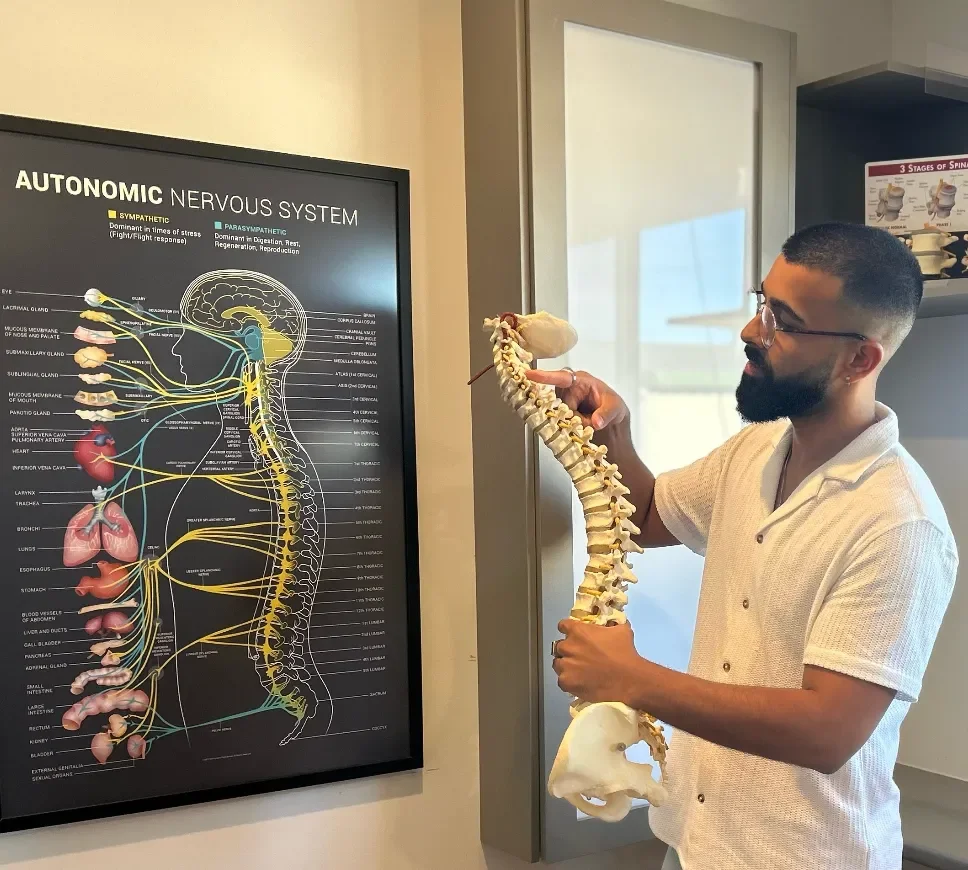 Chiropractor at Vibrant Family Chiropractic using an anatomical spine model to explain spinal alignment, nervous system function and chiropractic care.