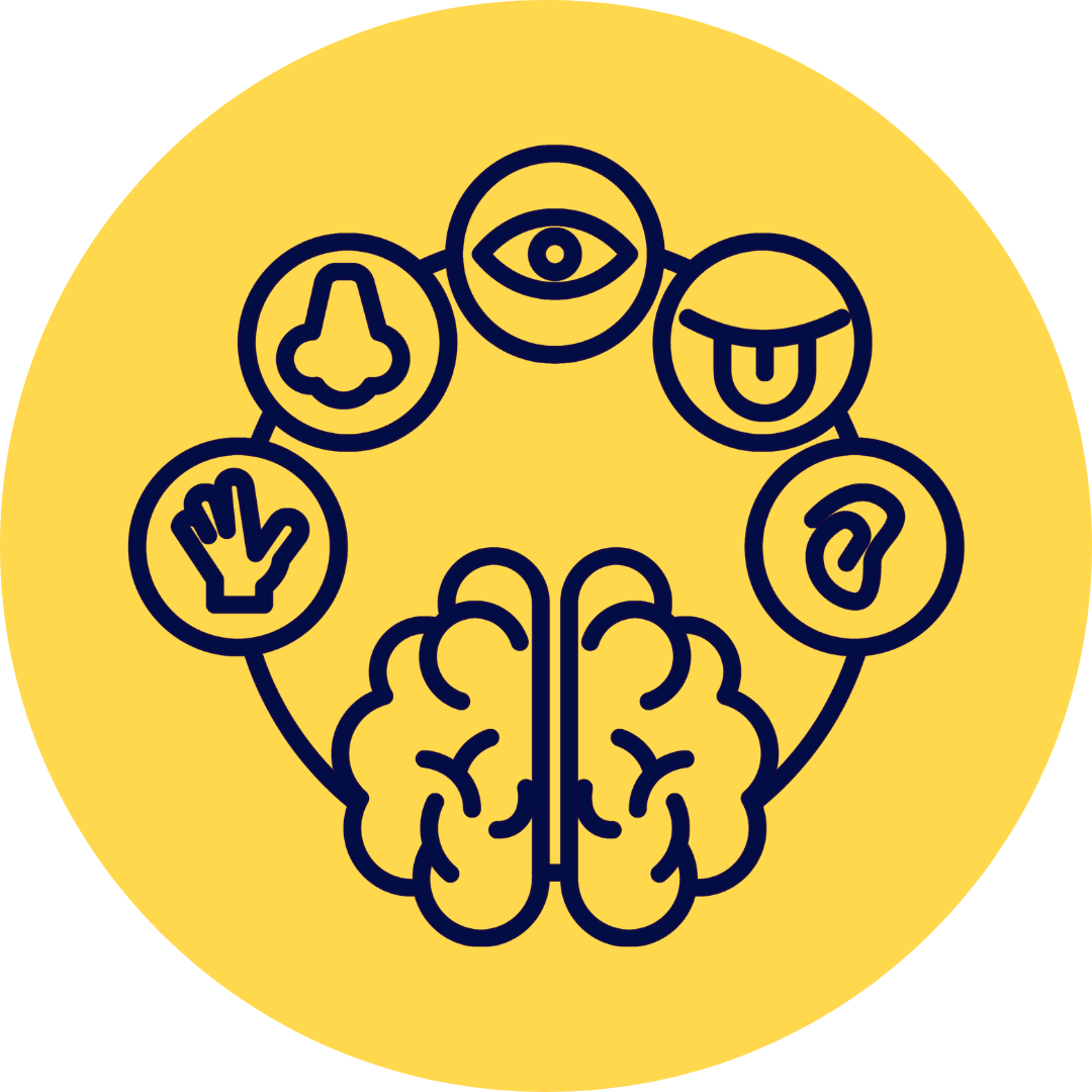 Icon of the 5 senses and how they connect to the brain.