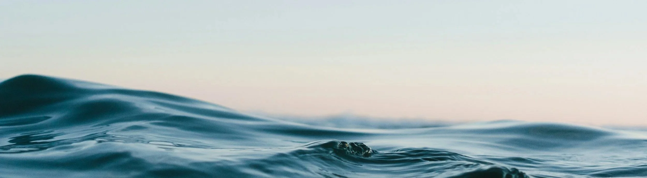 Close-up of a crocodile partially submerged in calm blue ocean waves at sunset