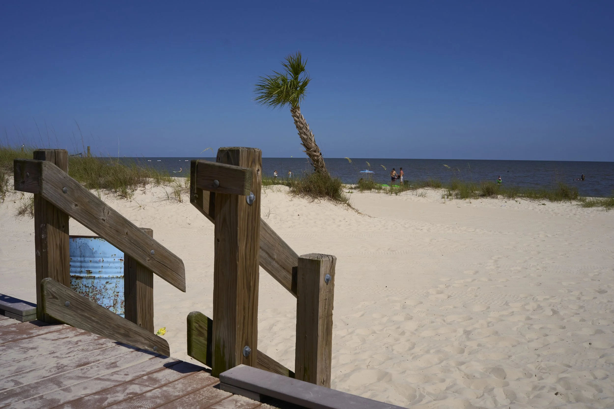 BeloxiBeachPalm.jpg