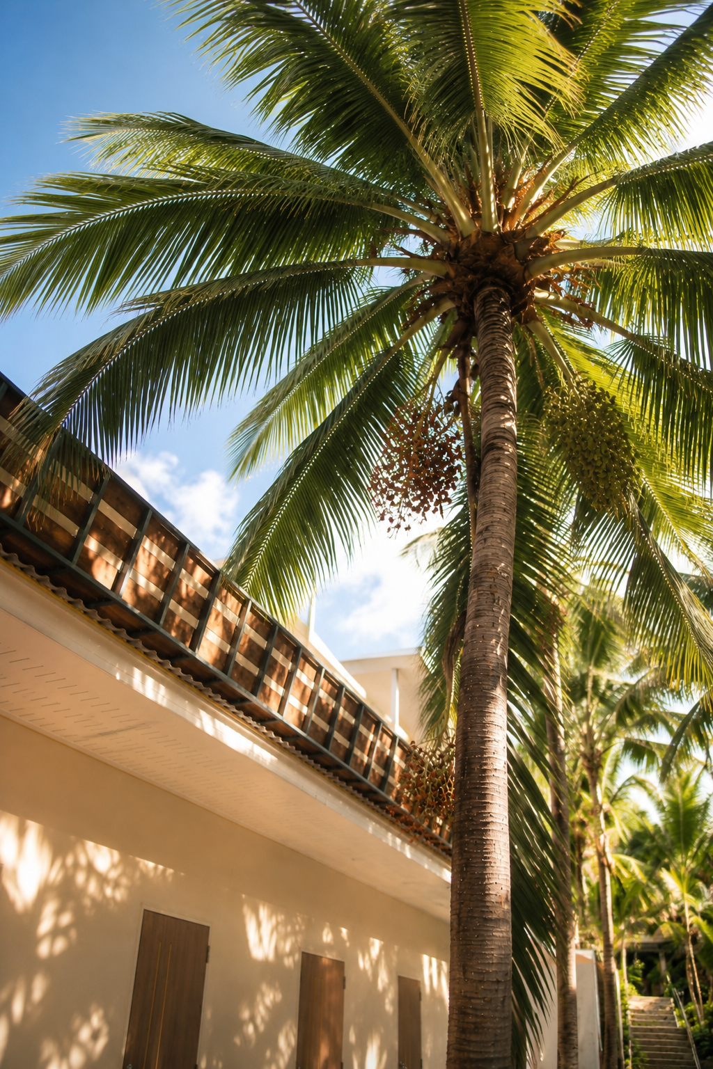 Tall palm tree with green fronds, blue sky, partial view of a building with balconies and wooden doors, sunny day.