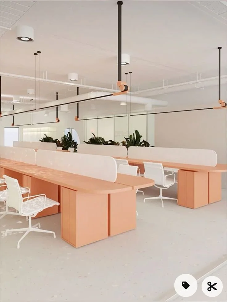 offices 3.jpg
