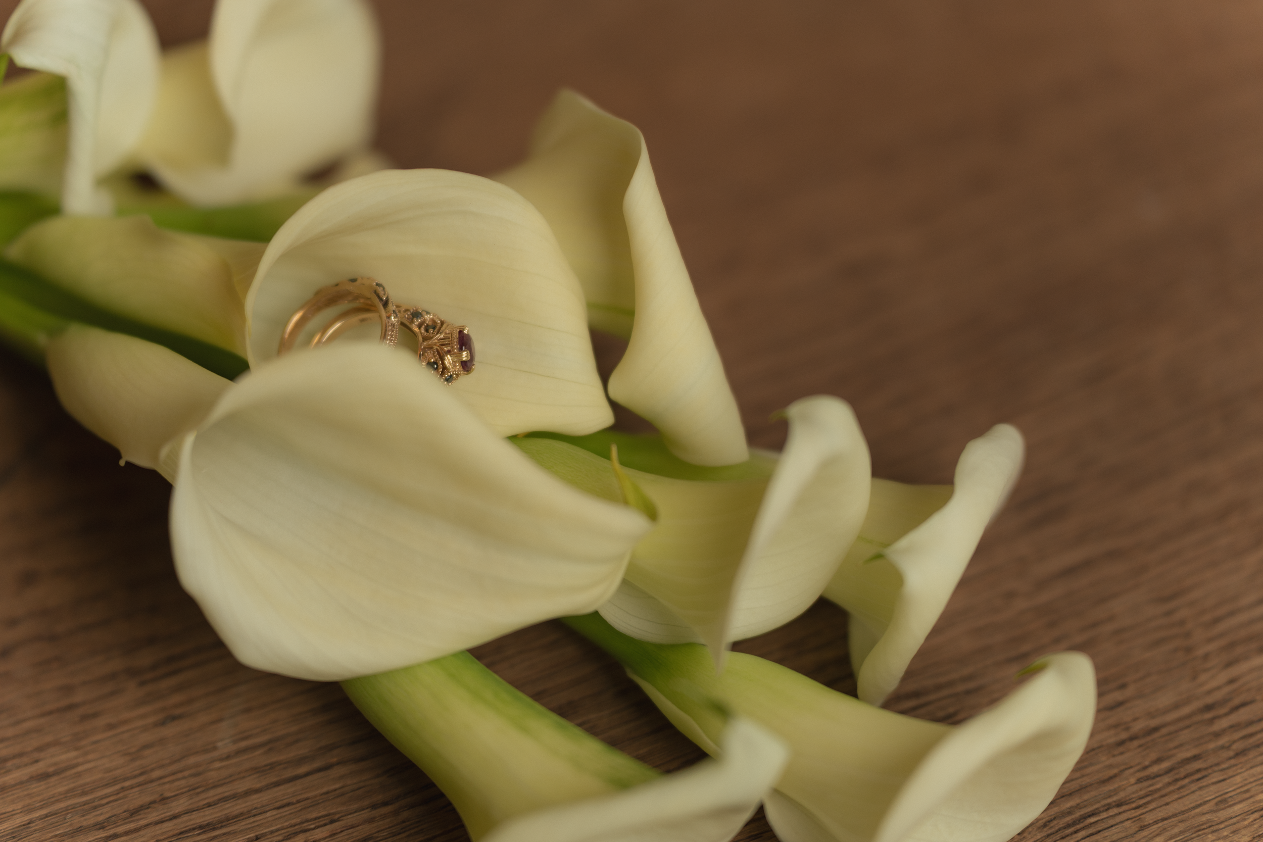 A7407307-2.png