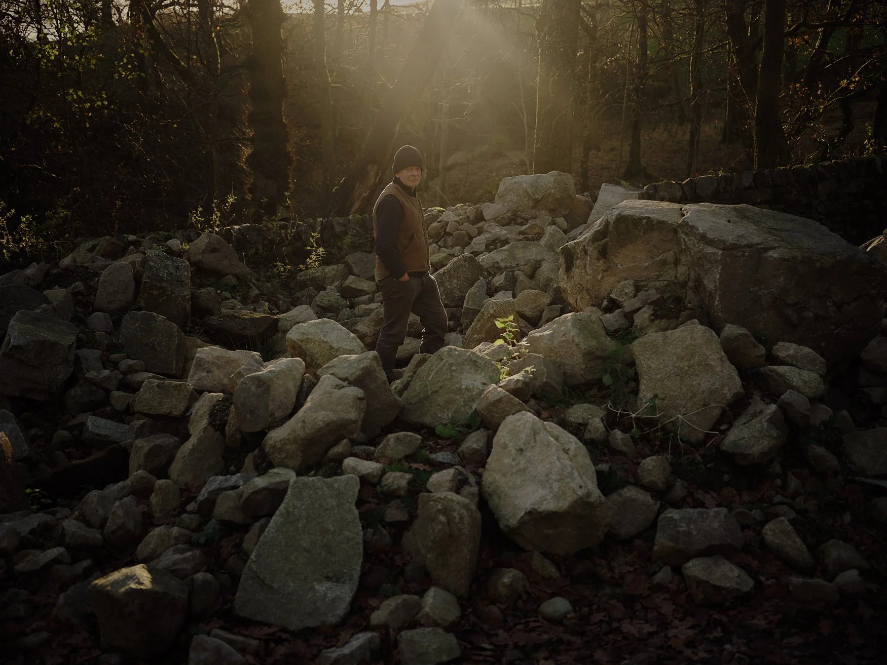 Andy Goldsworthy
