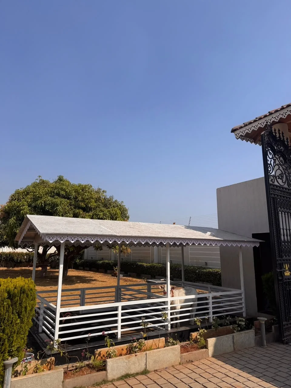 Livestock Shelters & Cow Shades