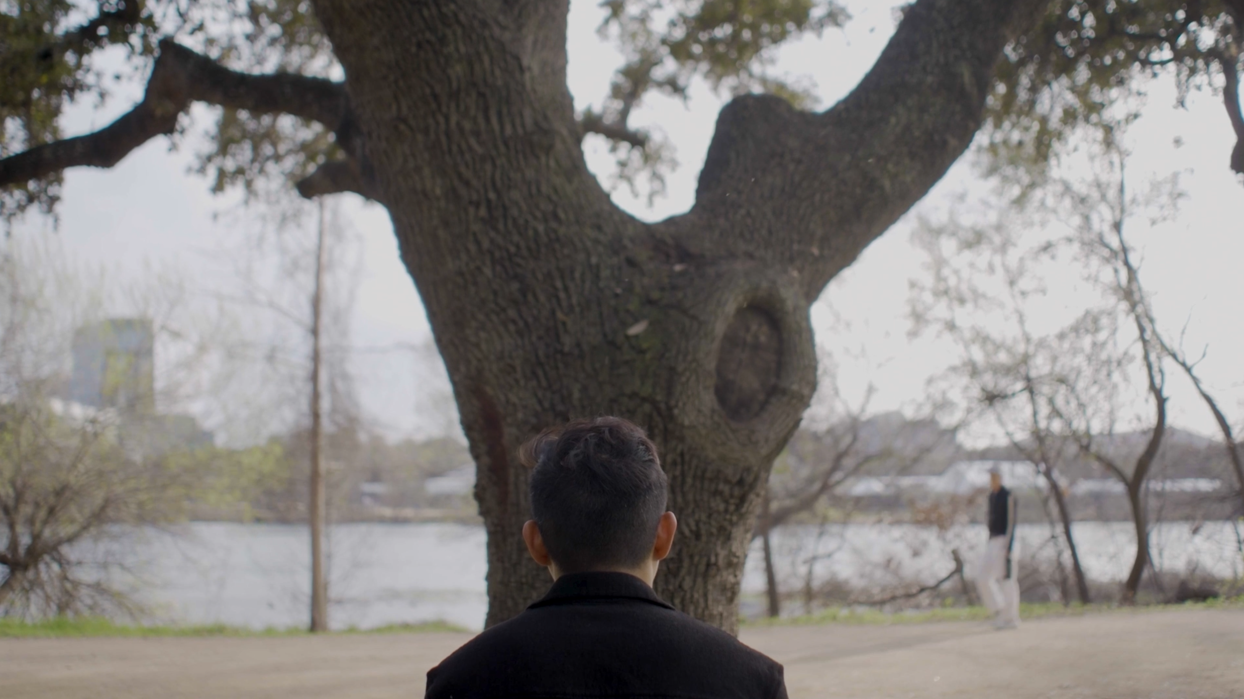 TALKING TREE