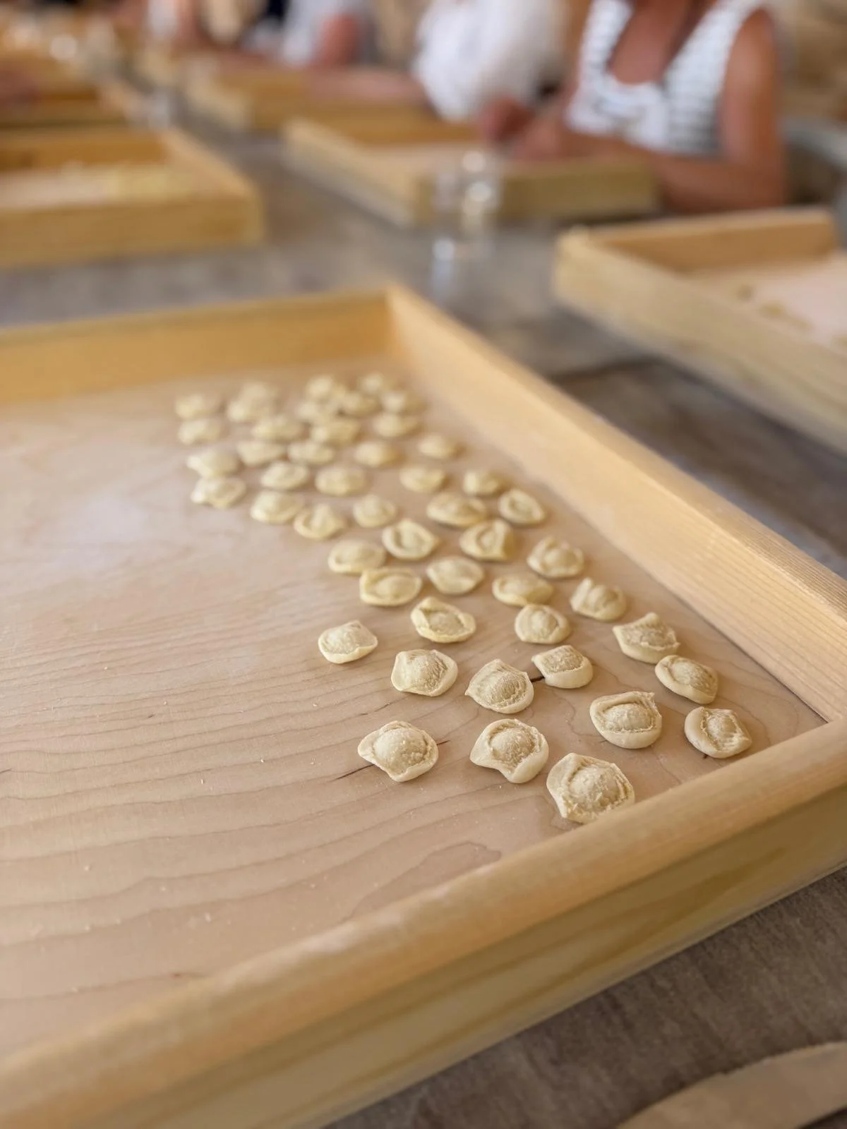 Fresh handmade orecchiette prepared during a hands-on culinary workshop.