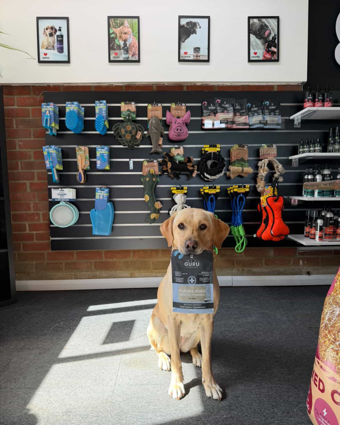 The Pet Guru